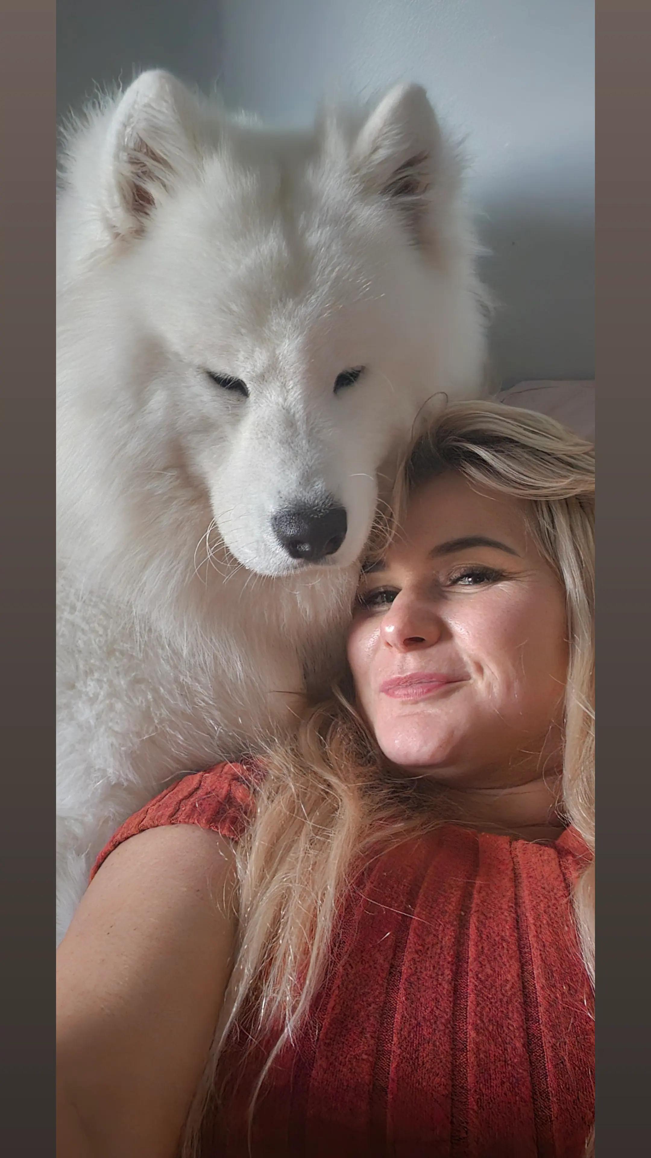 @Samojedowe🐶🇵🇱love🇬🇧