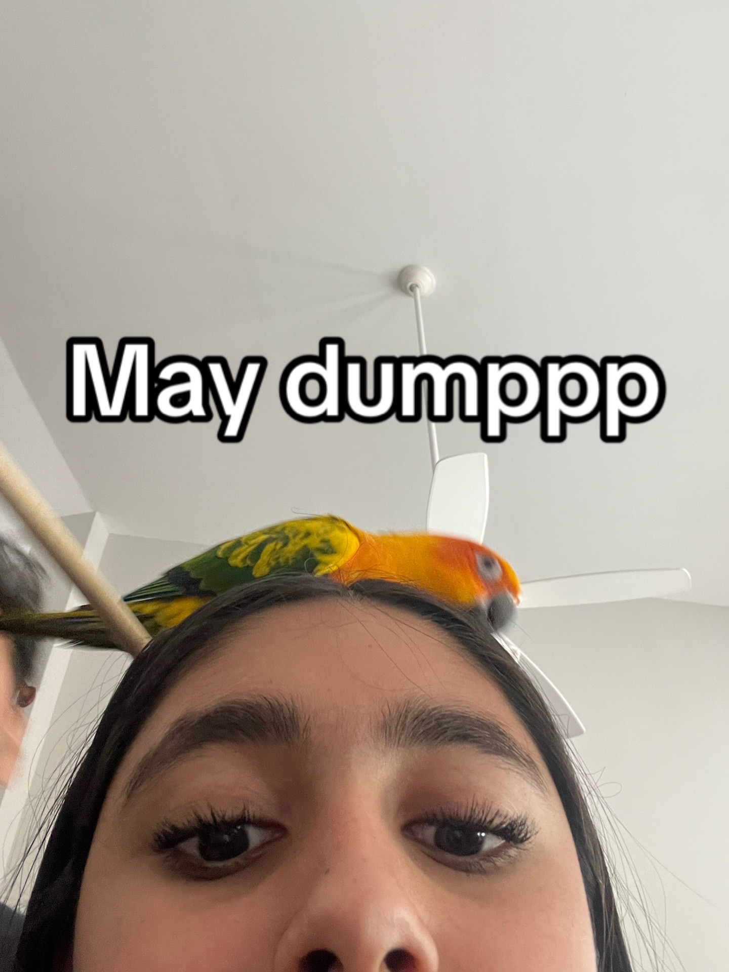 @Diya_SPAMMM