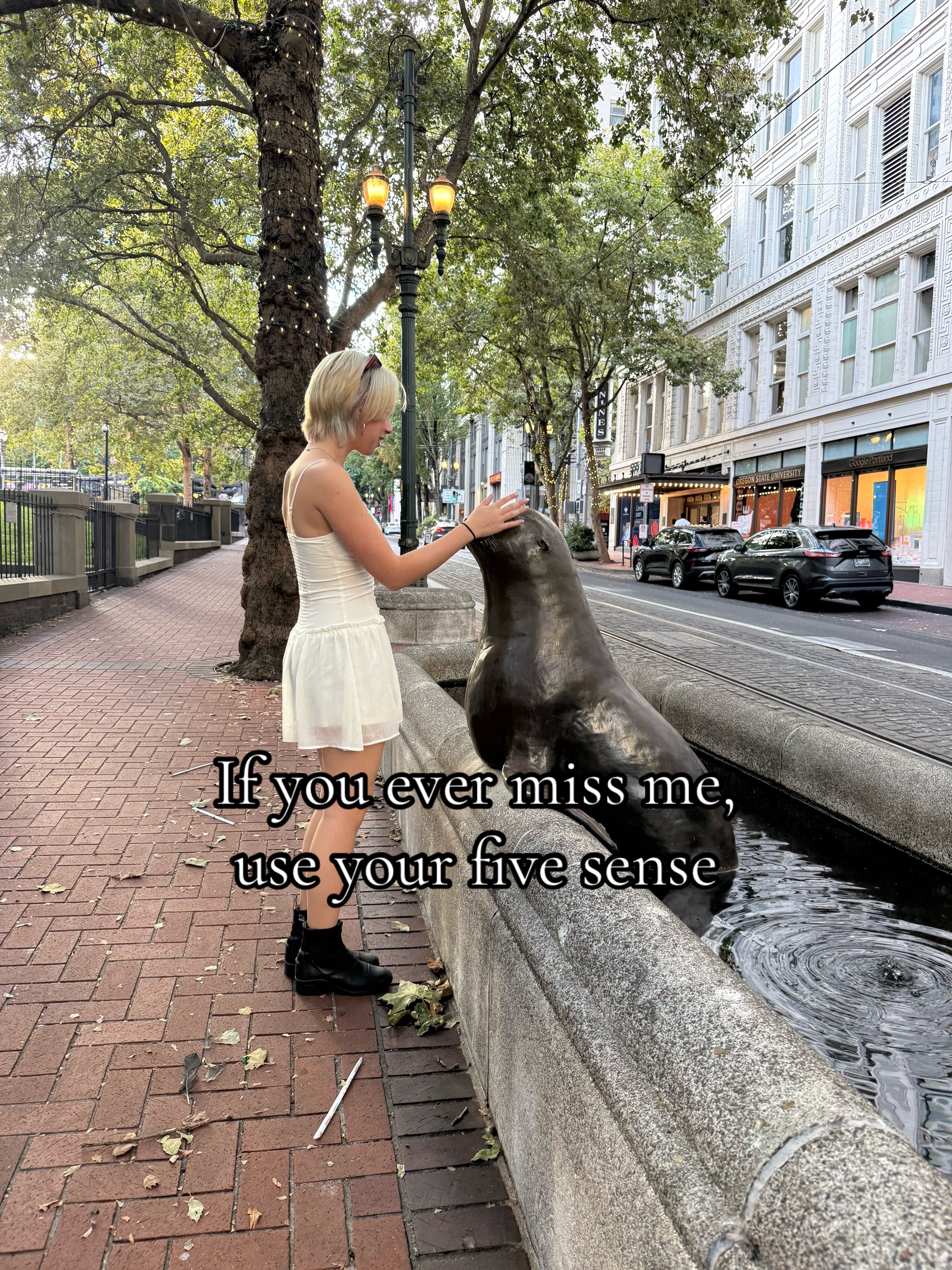 @🐾