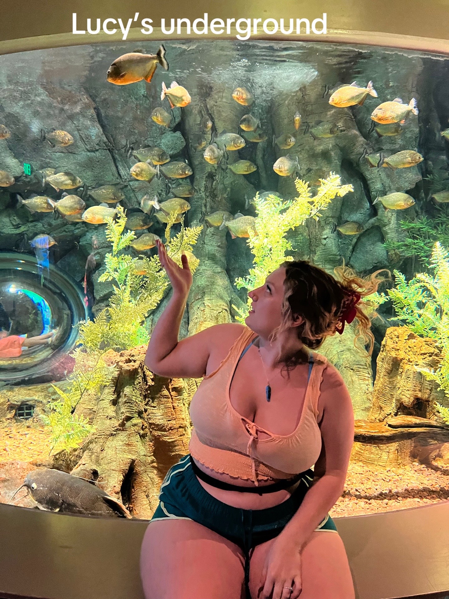 @🌺