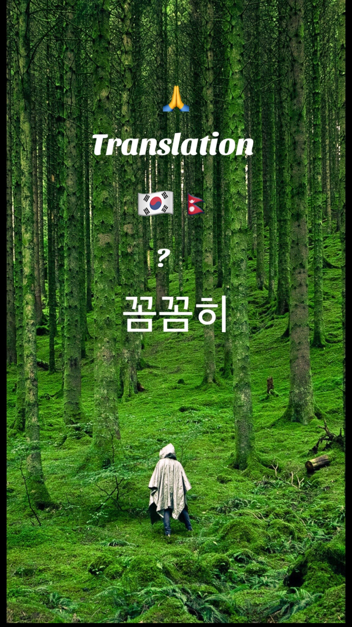 @뻐덤깐차 라이