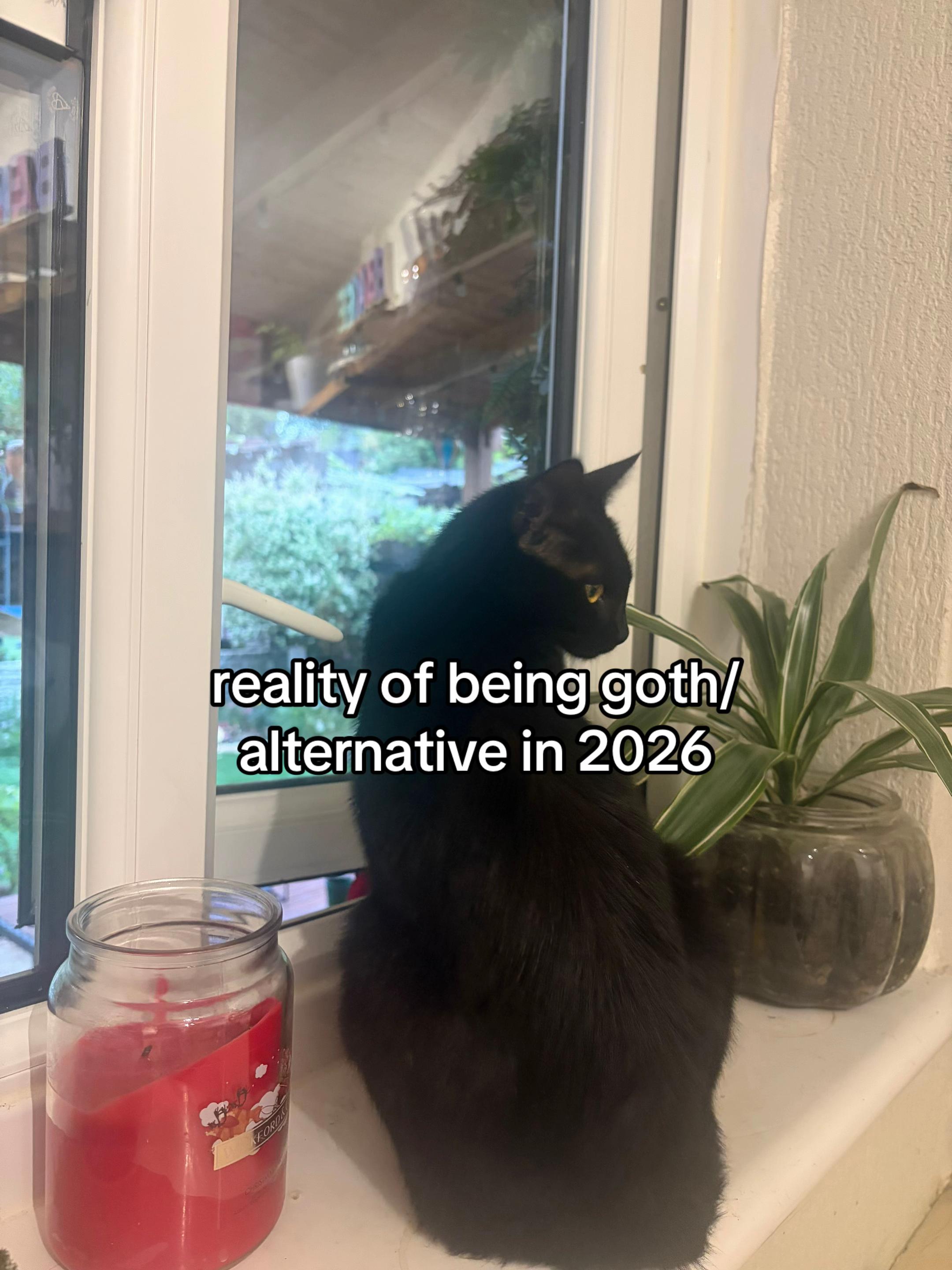 @⚔️🦇s̷ɨɇn̷n̷a̷🧛🏻♀️🐈⬛