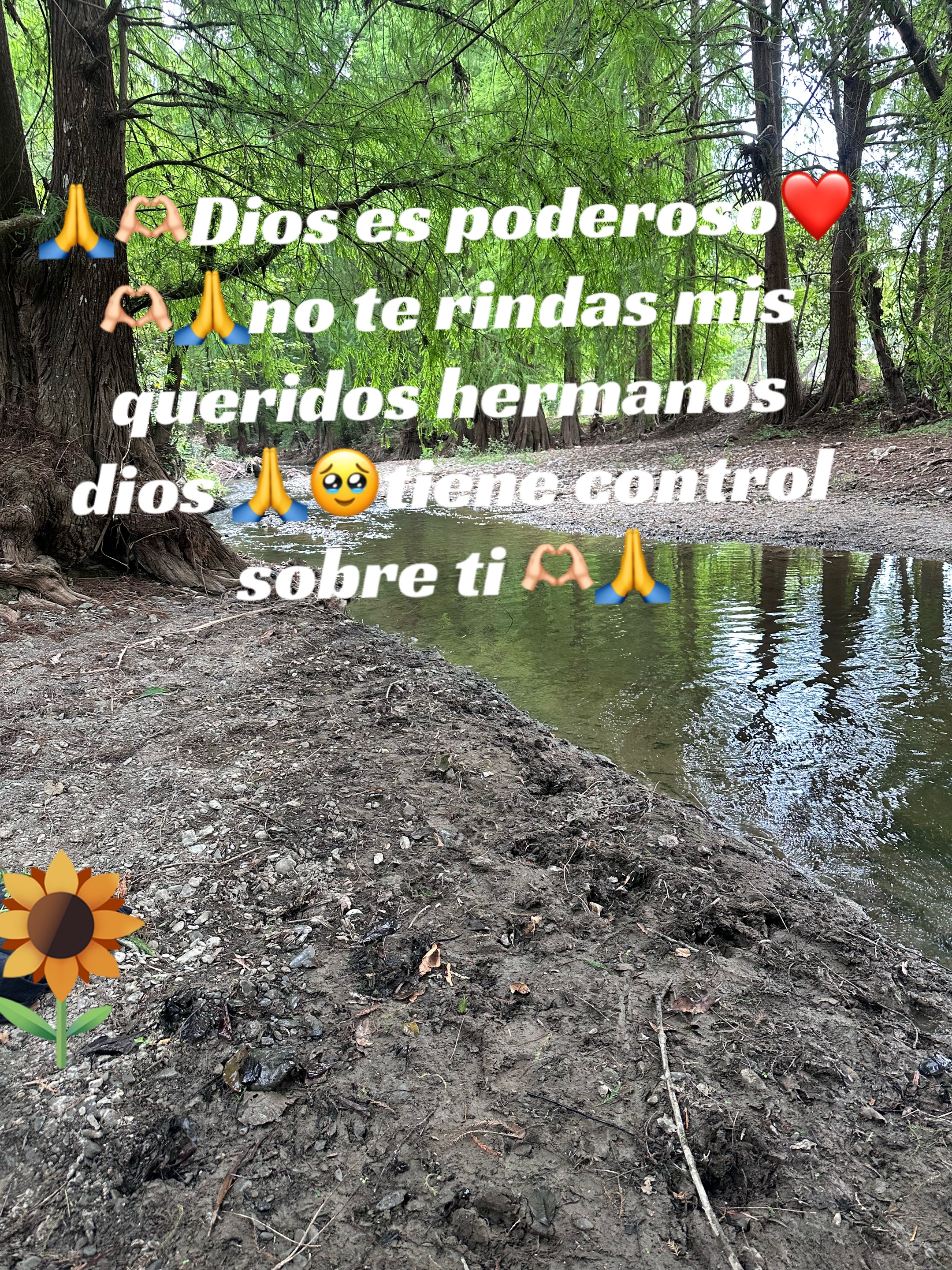 @Elena