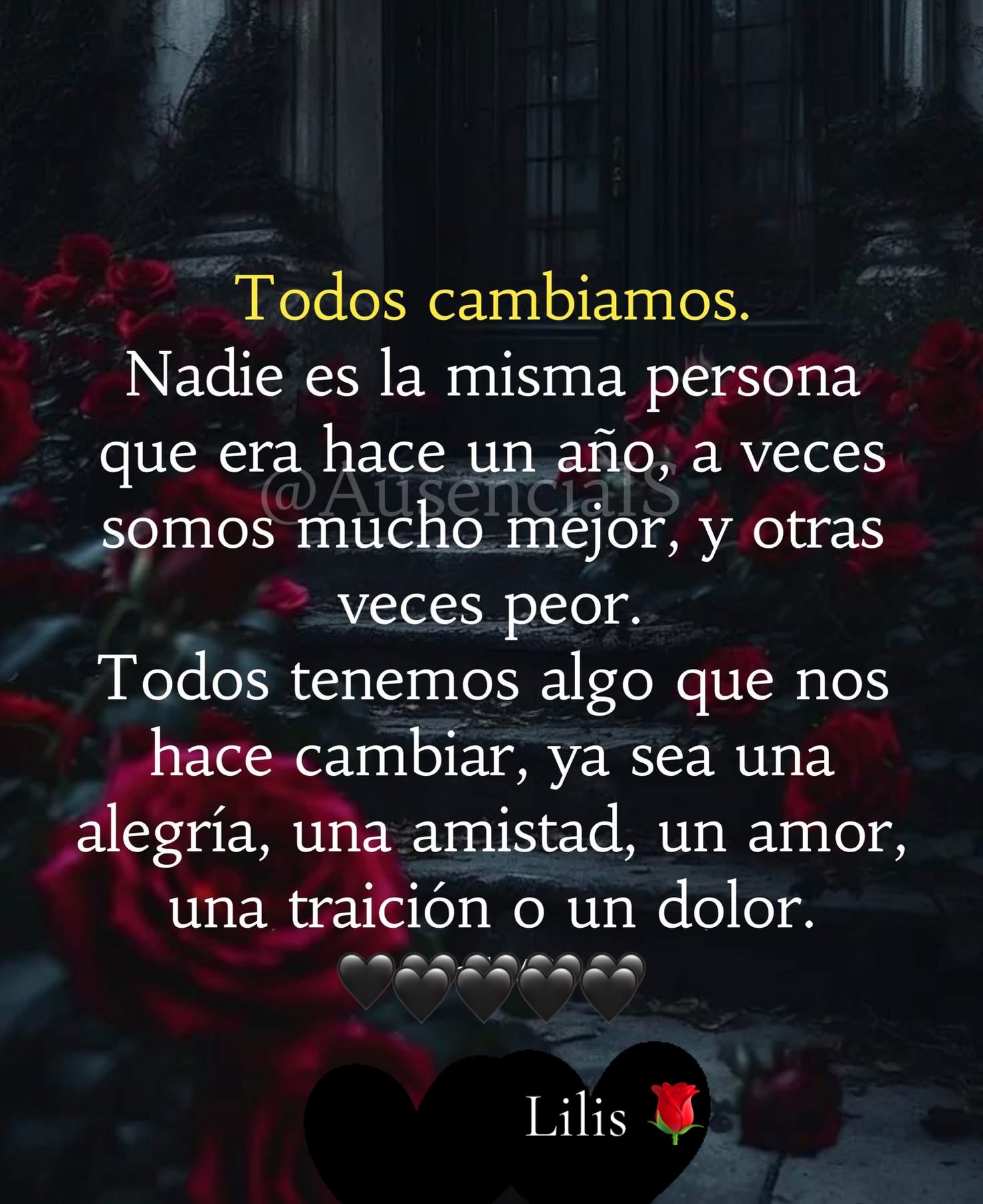 @🌹 Lili ❤️
