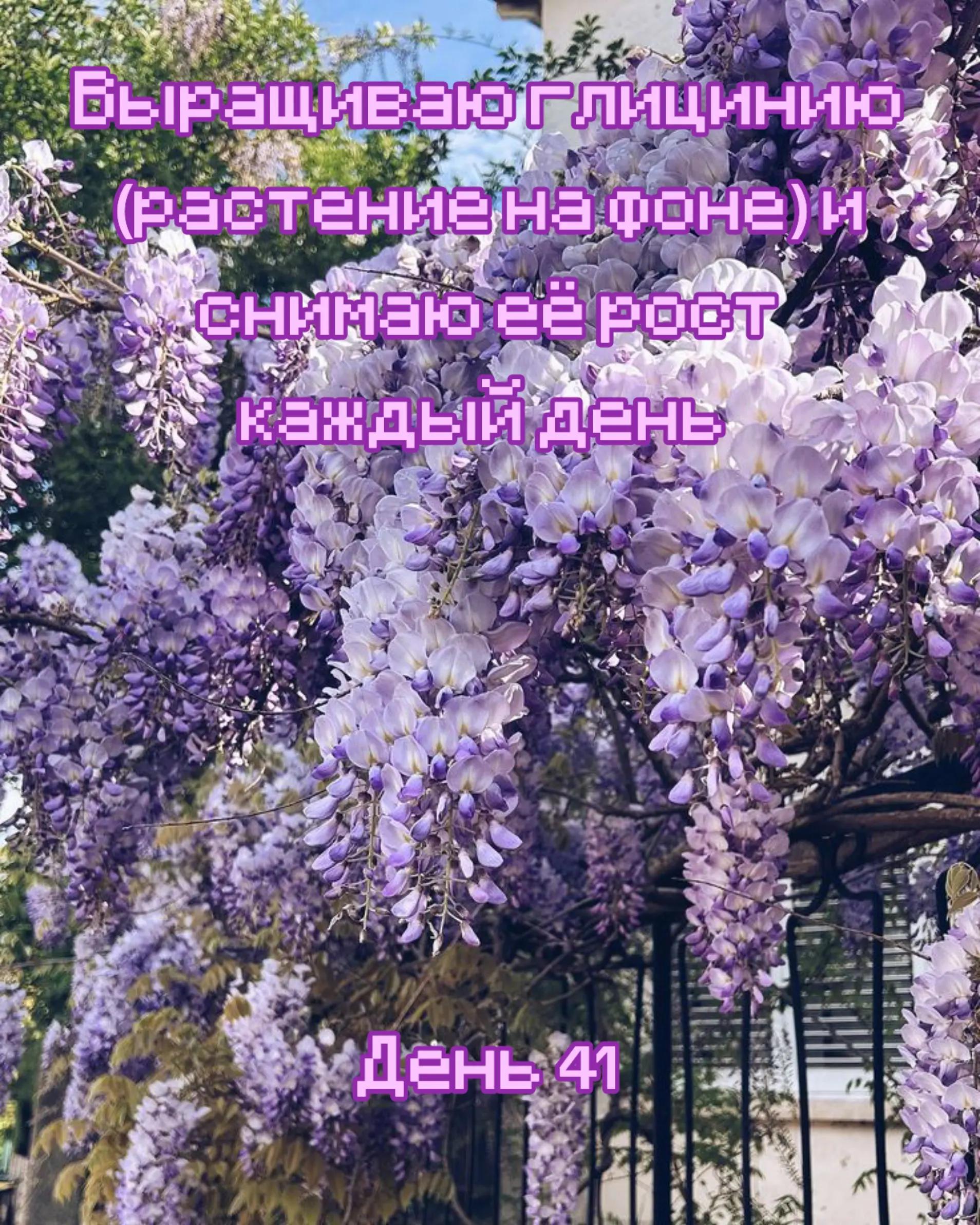 @Дрелька [nu]