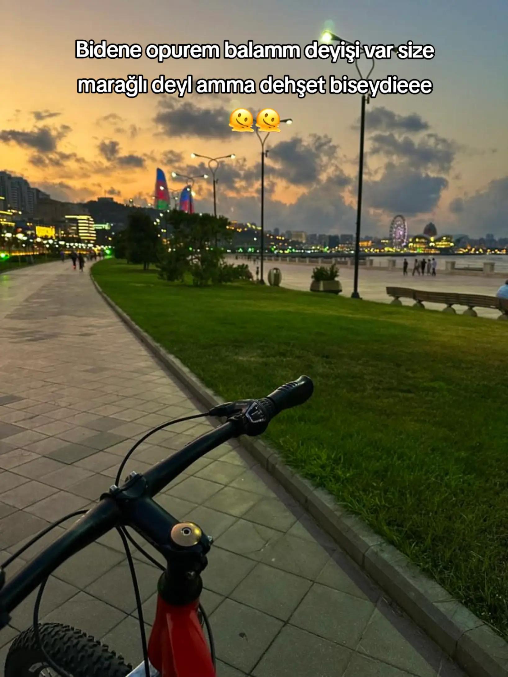 @🐻🤎