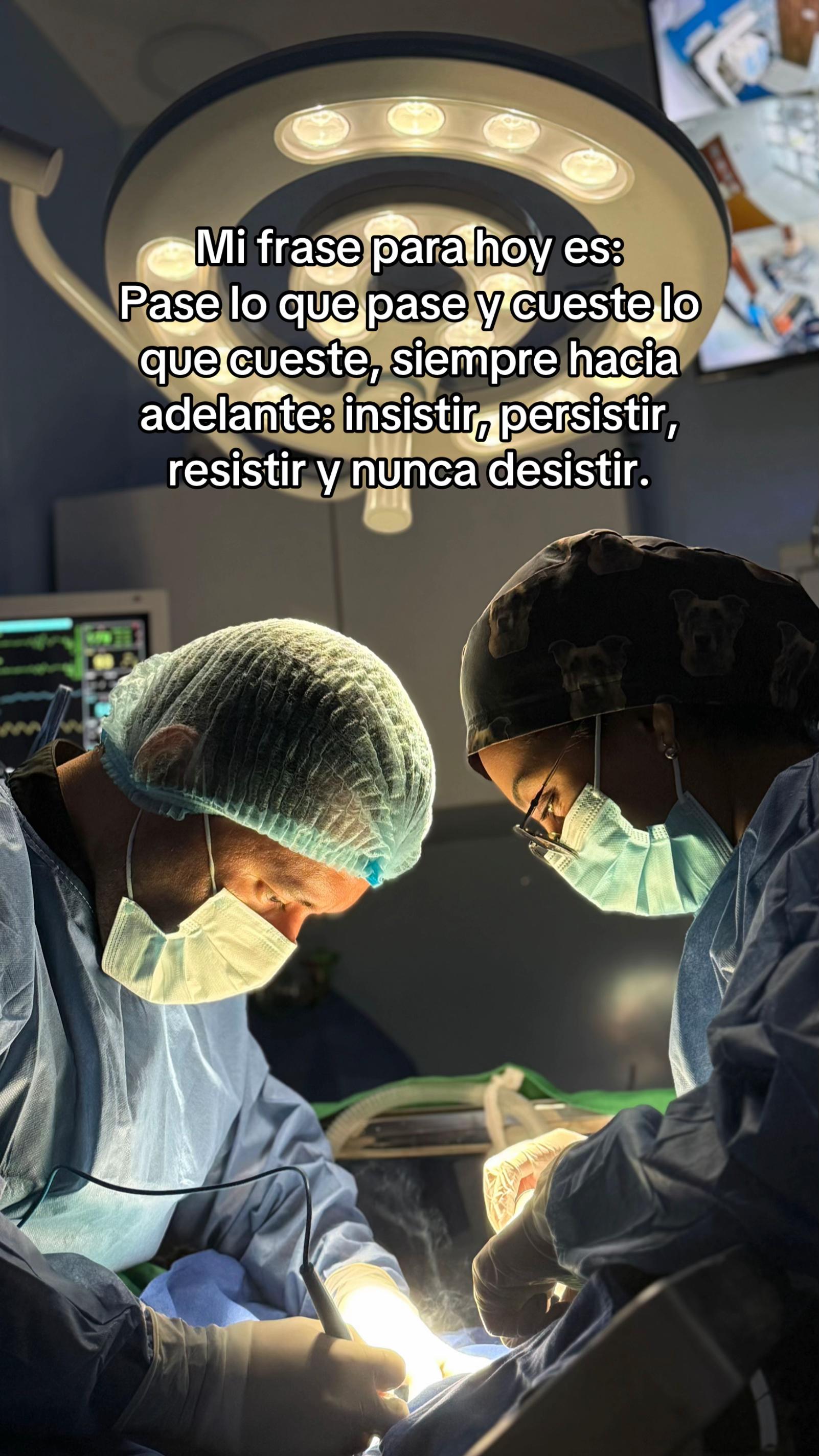 @David Aragundi ⚕️🐾