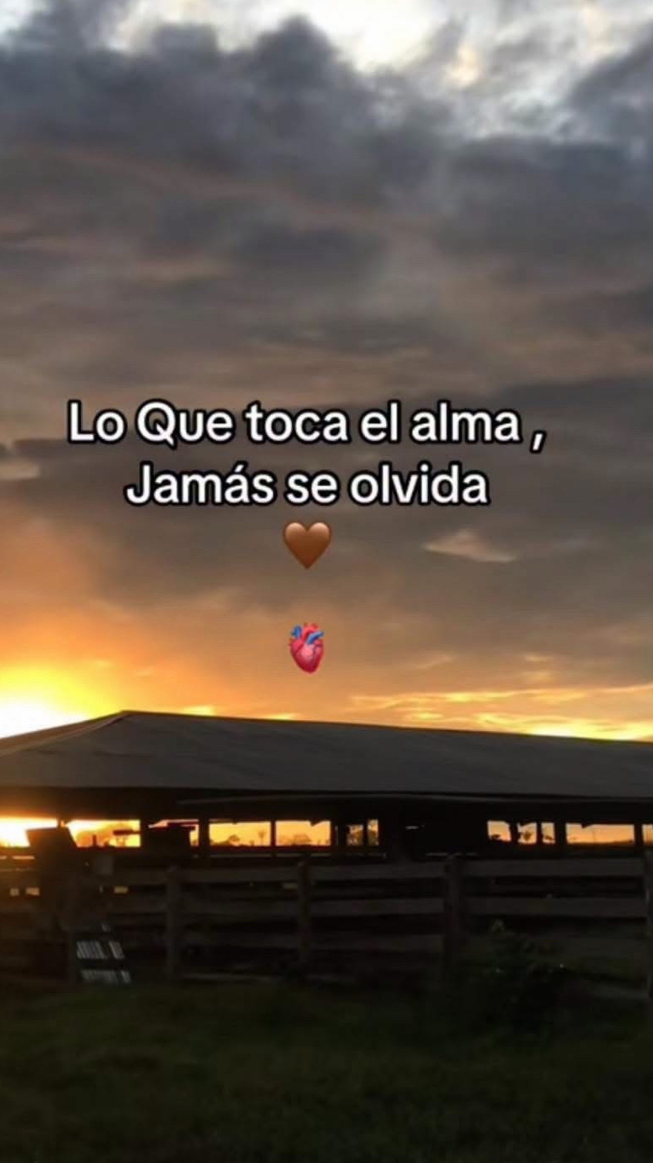 @Chaparrita🍒