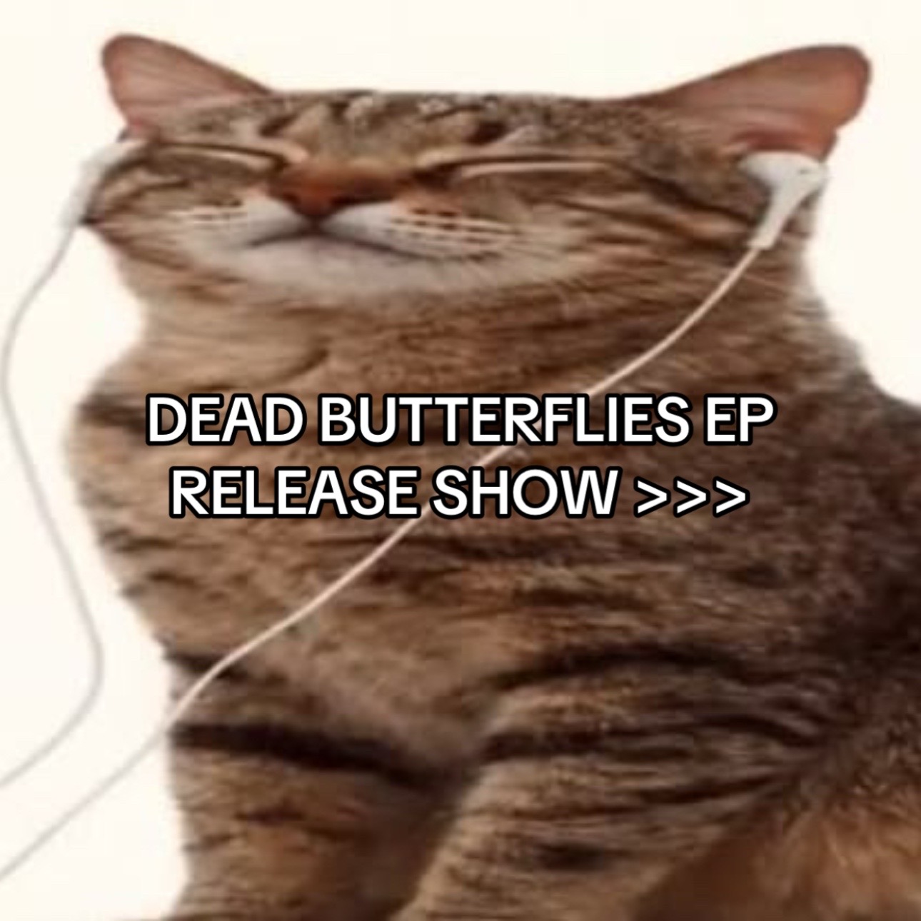 @deadbutterfliesband