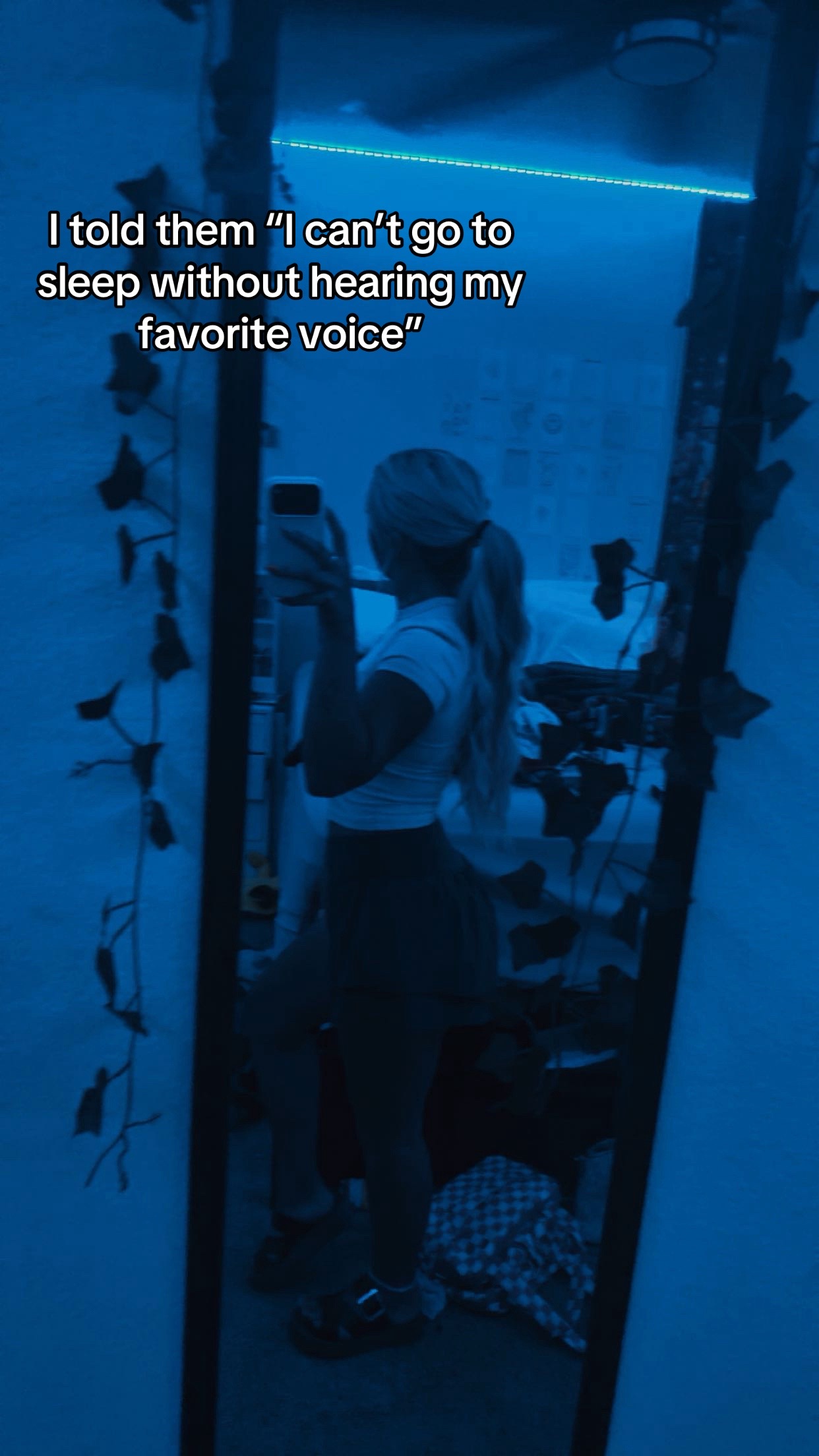 @sistalexy
