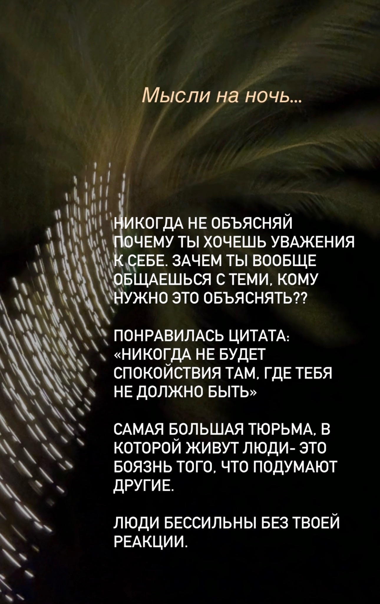 @svetlana_konovalov