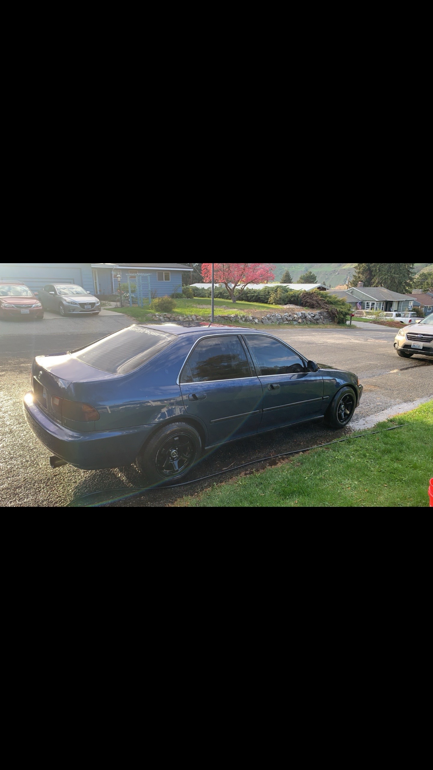 @steezy.eg