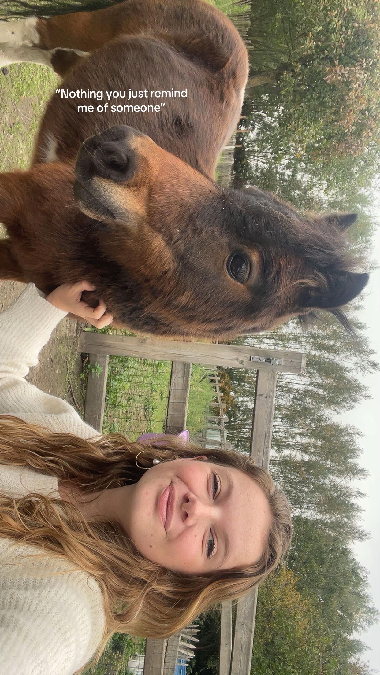 @equi.jcf