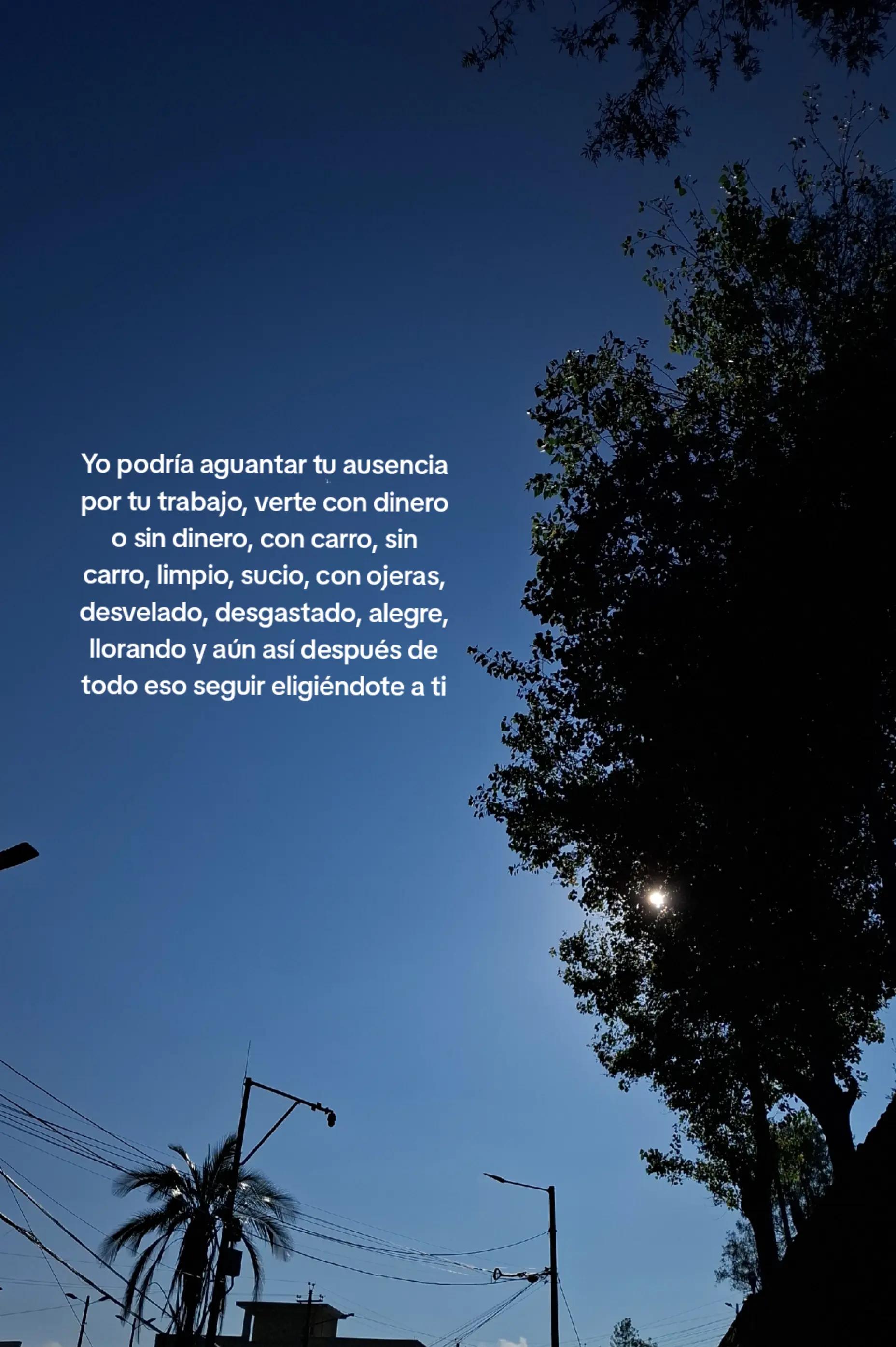 @𝐹𝑒𝑟𝑛𝑎𝑛𝑑𝑎 🌷