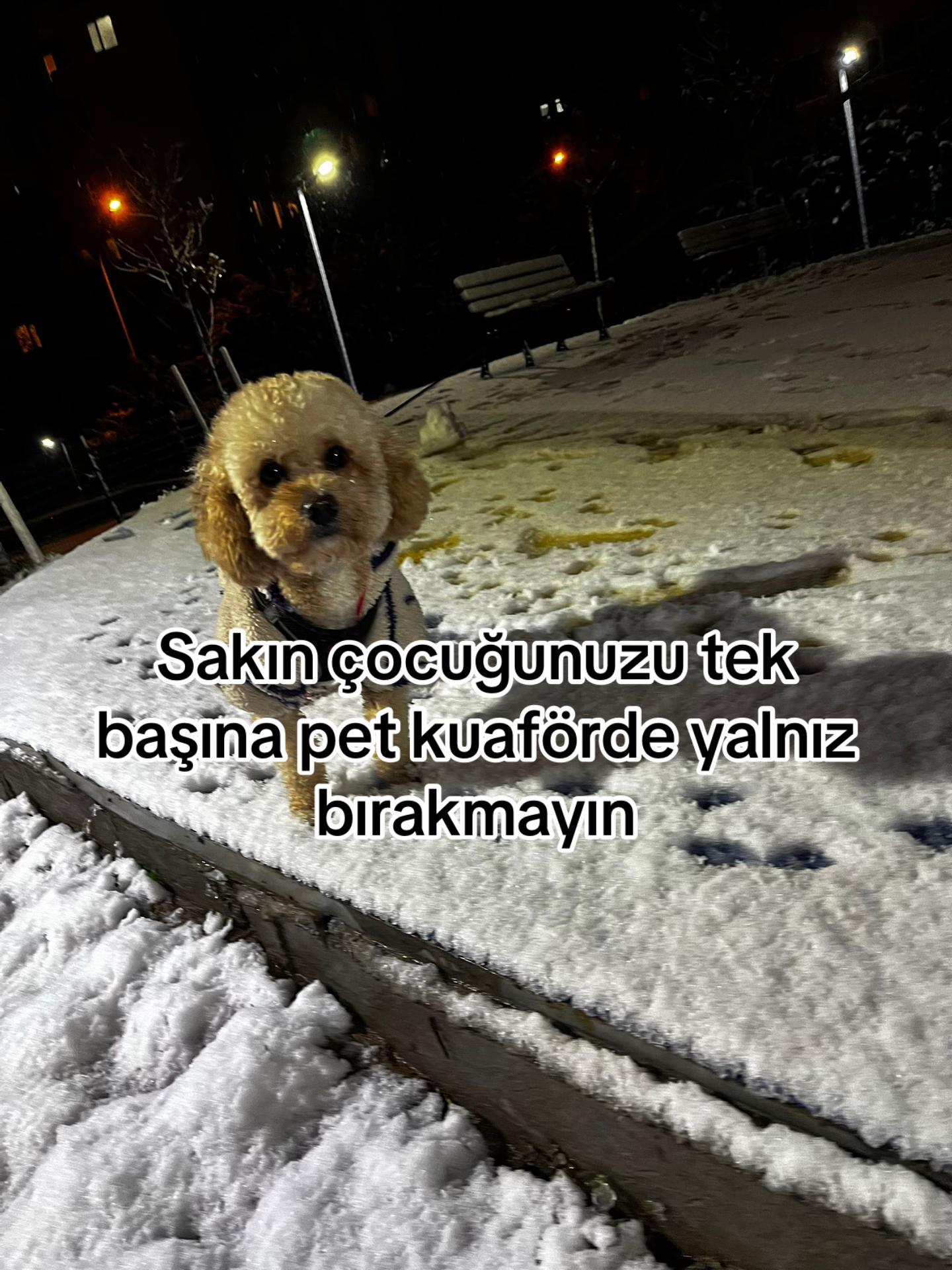 @M3k4dd3s