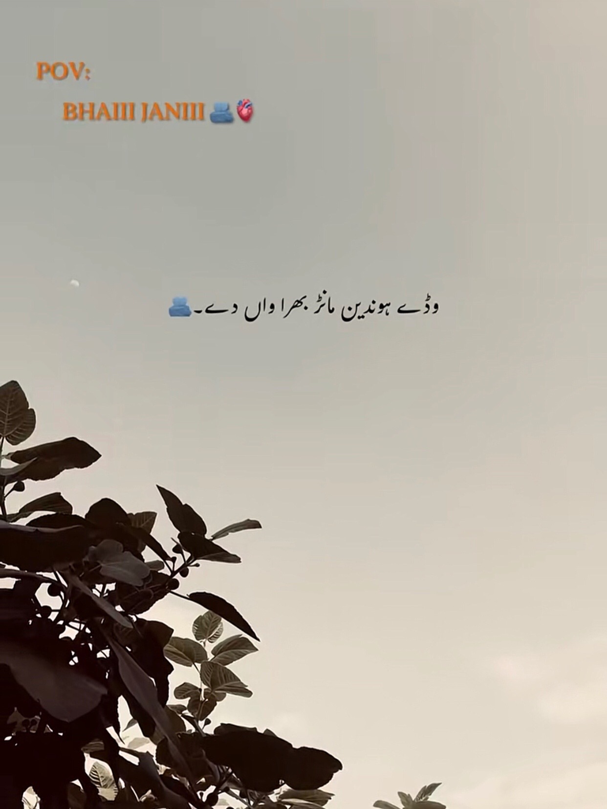 @عاطف ملک🖤