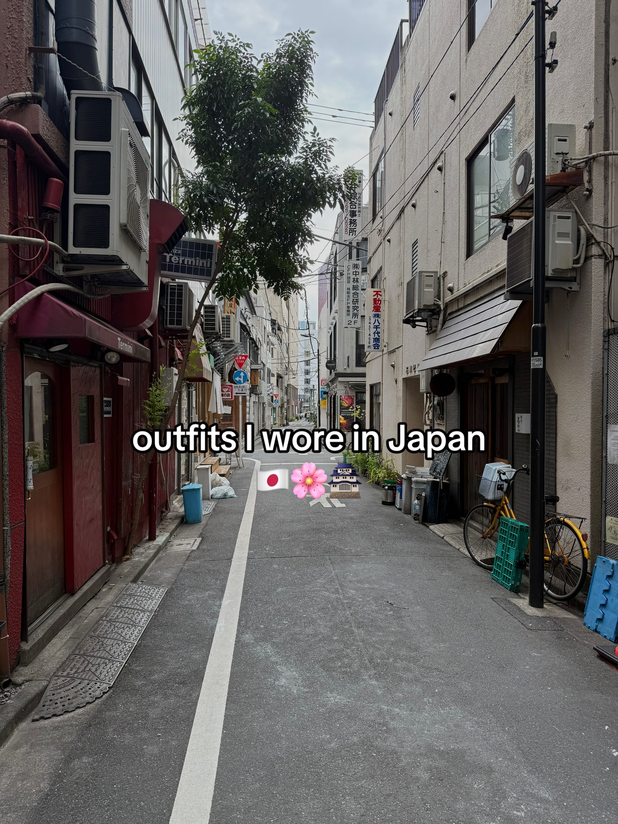 @𝑀𝑒𝑙𝑖