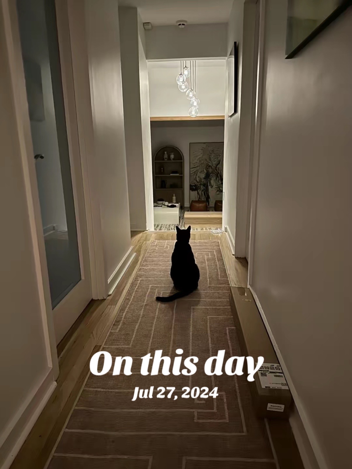 @Oscar Jeremy the cat!