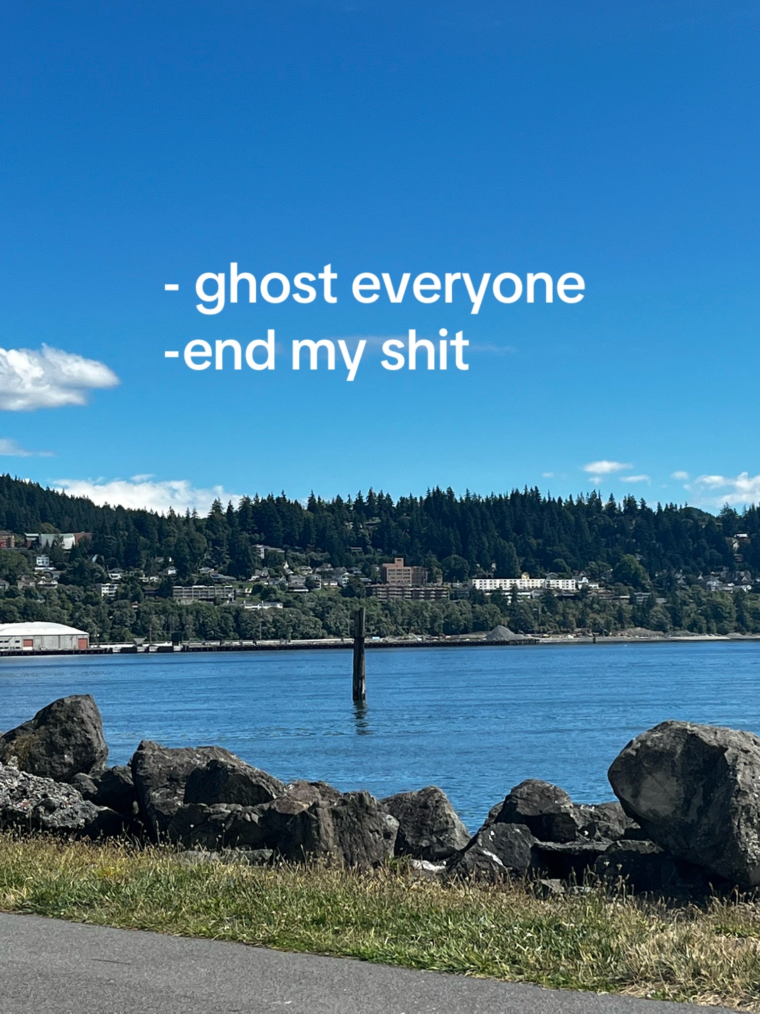 @piper 🐁