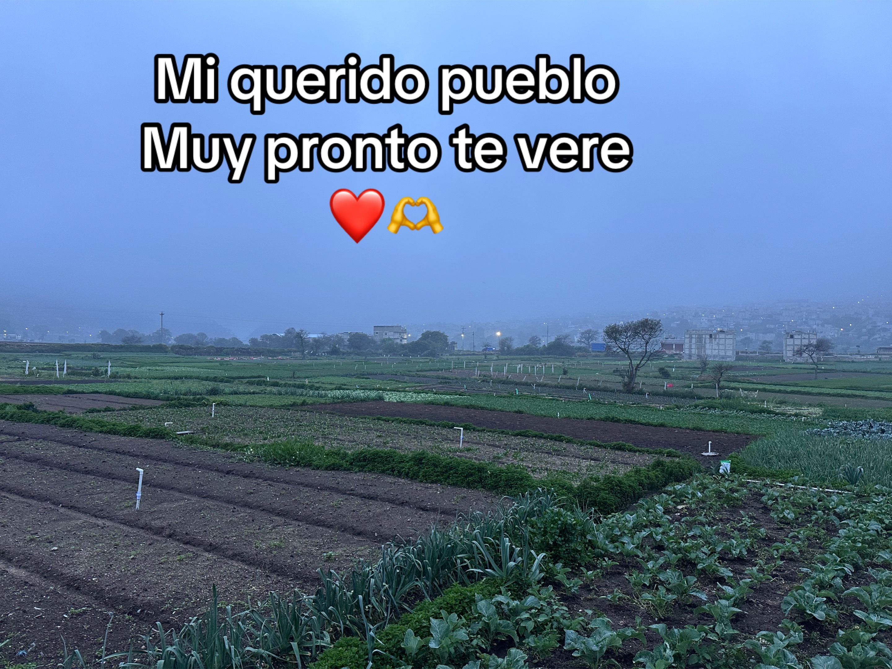 @ARMANDITO ARMI🇬🇹🇱🇷🤑😍🤪🏆