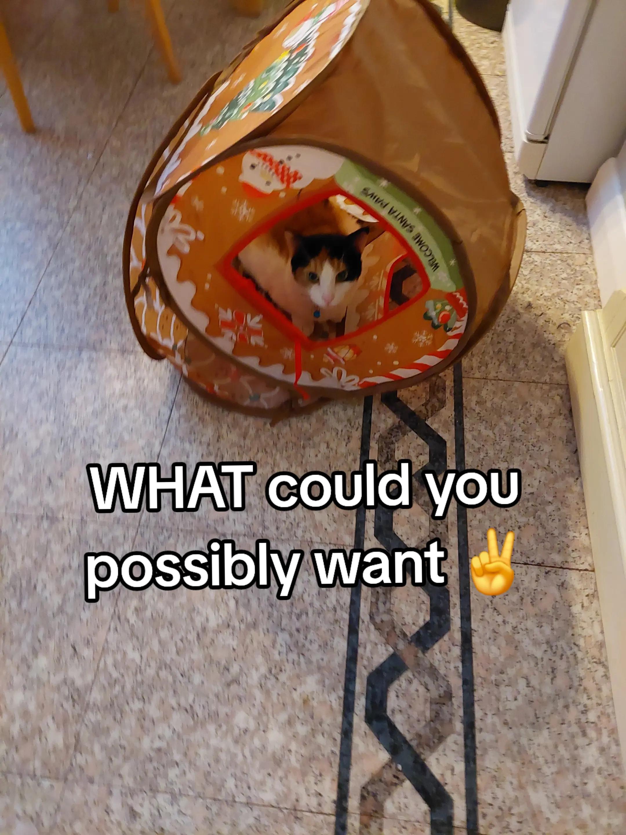 @beanz