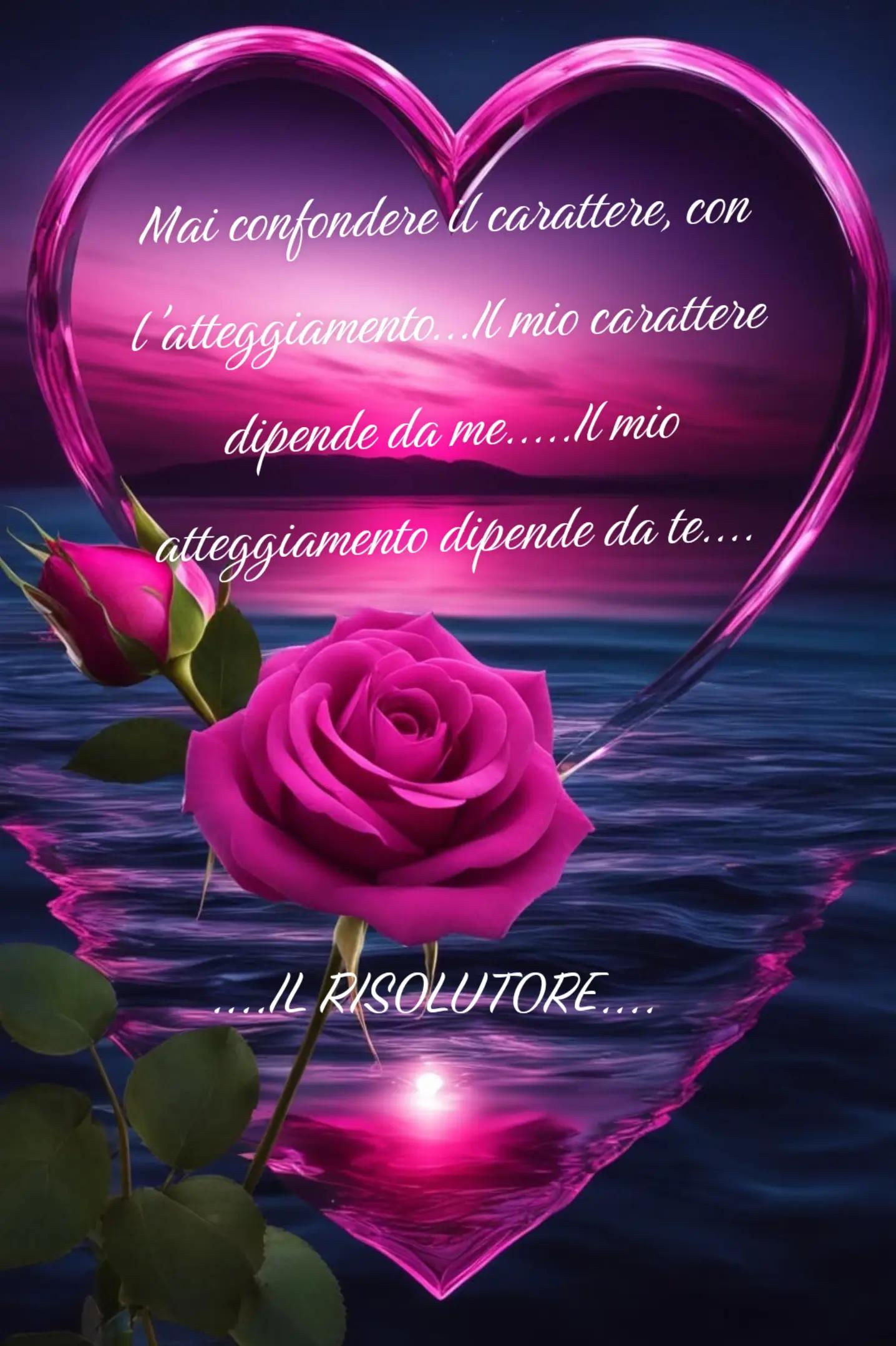 @IL RISOLUTORE...