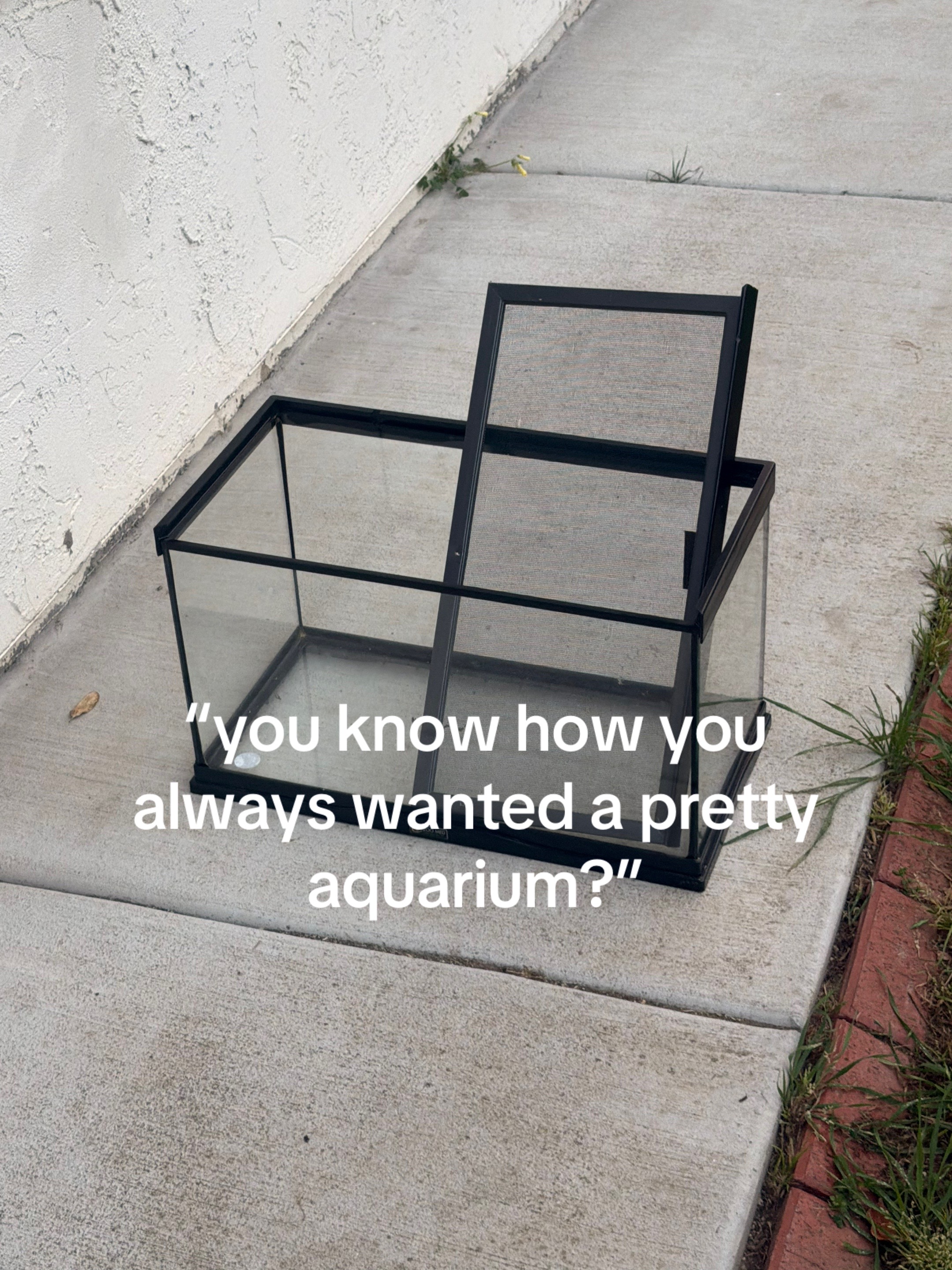 @realist