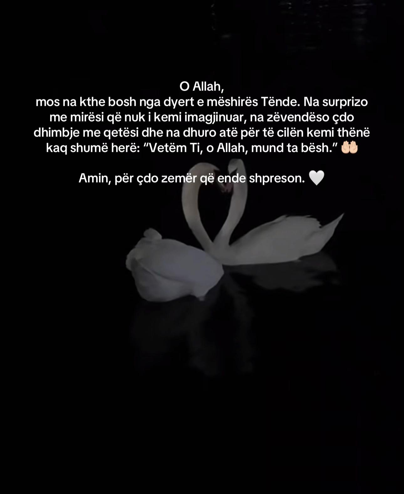 @🌙 Qet&euml;si &bull; Besim &bull; Drit&euml;
