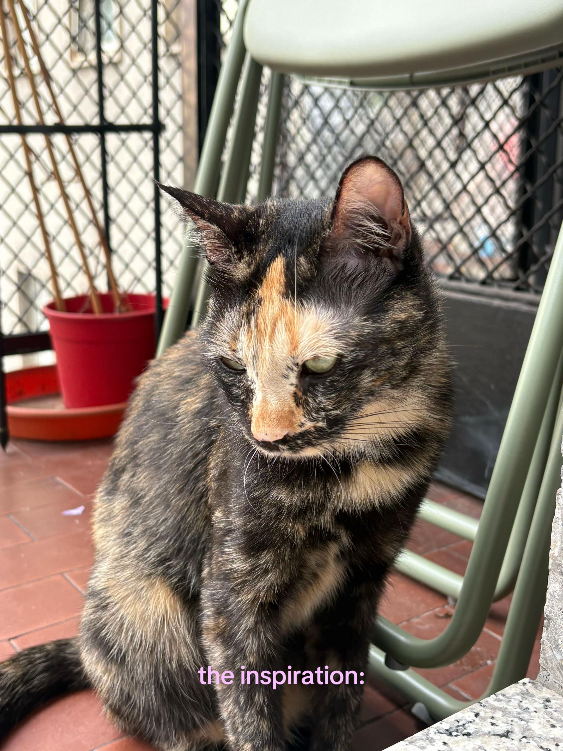 @orirorirori