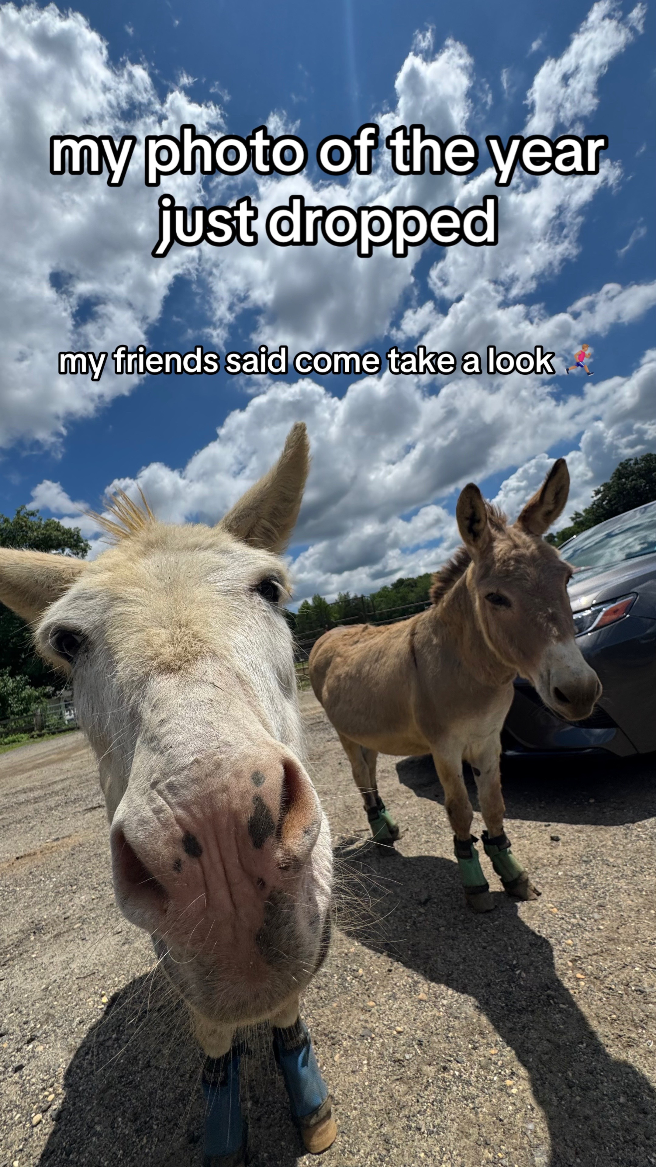 @tripzy