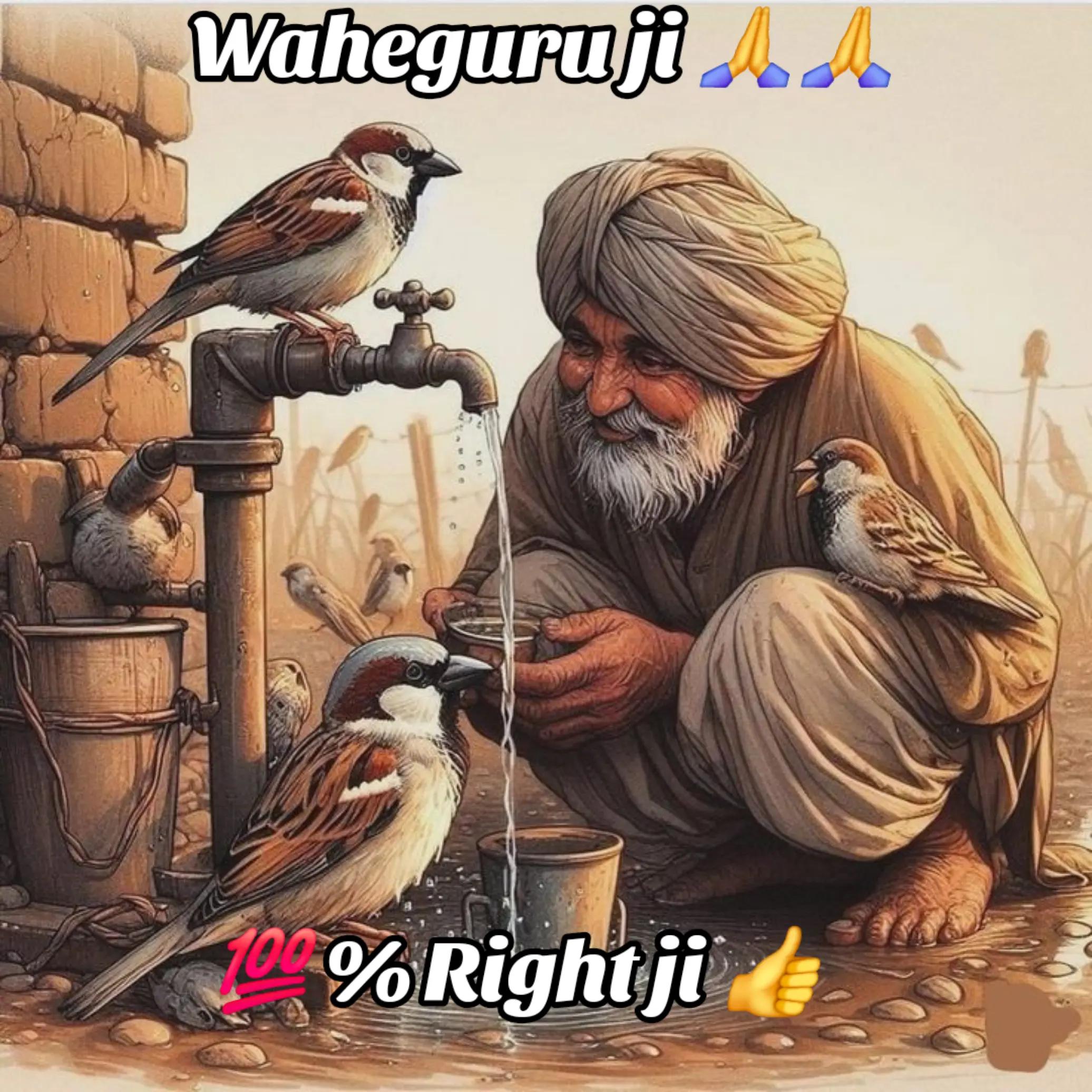 @Amarjit Kaur