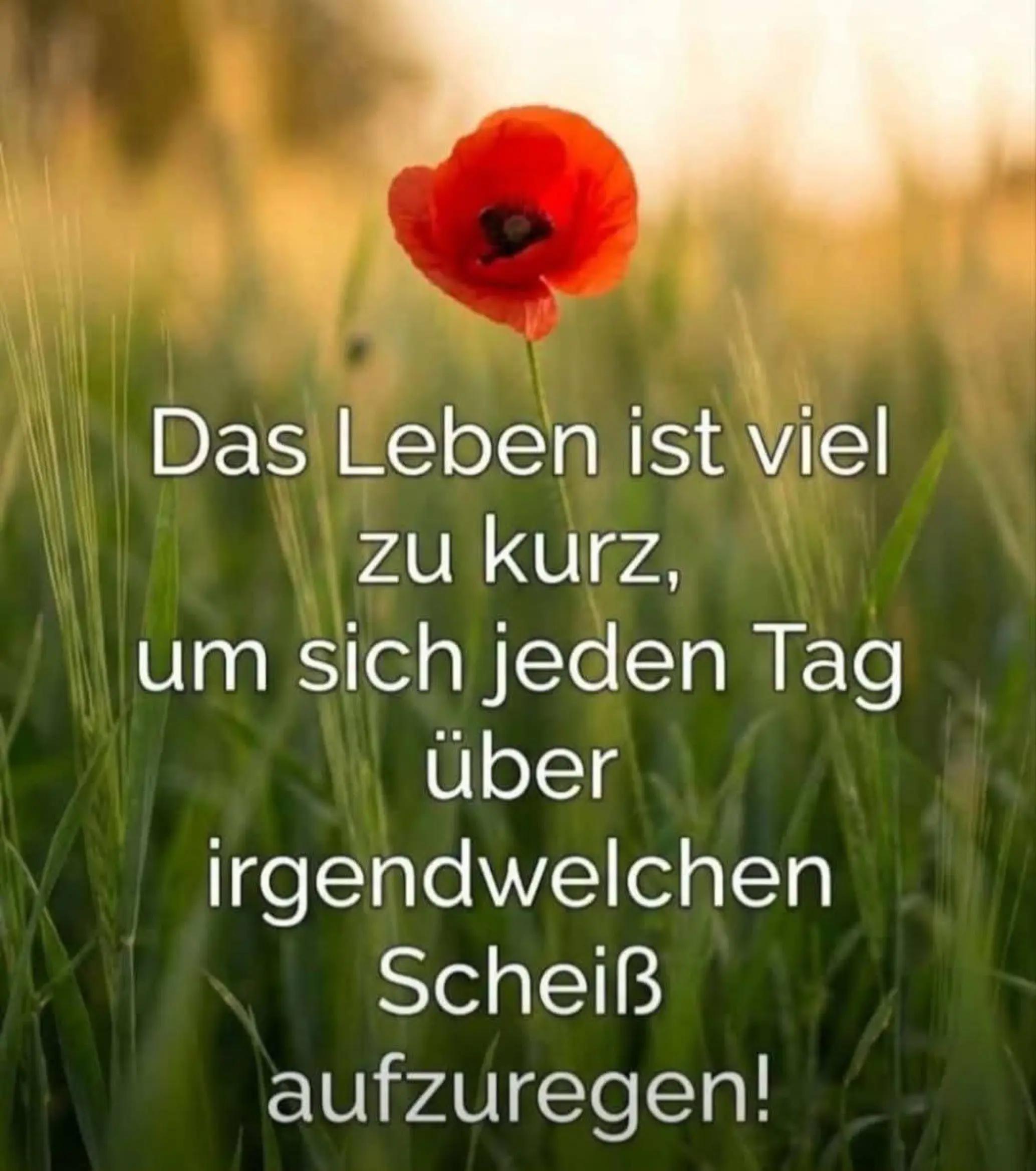 @Kati Maus