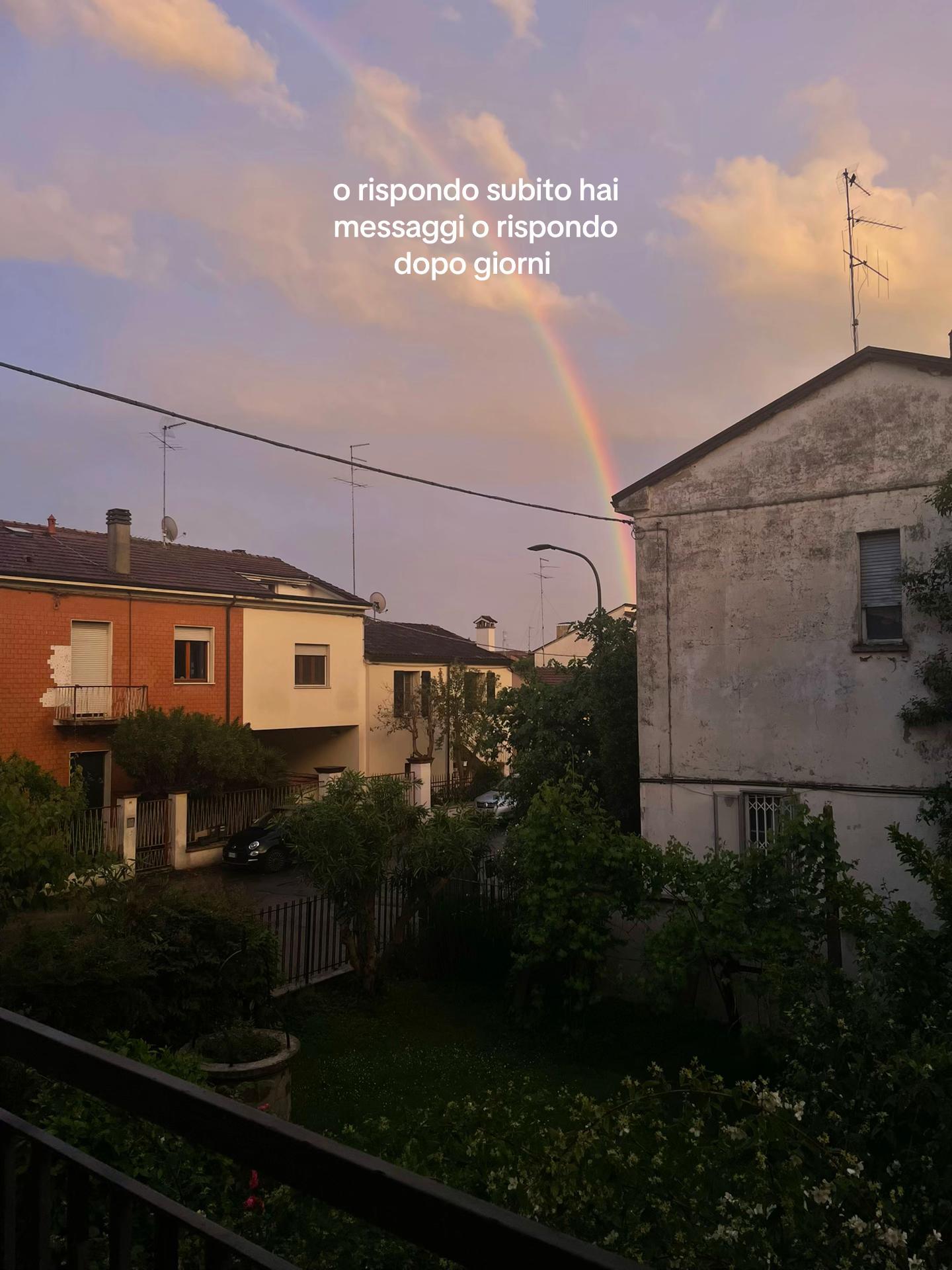@ℳ🐚