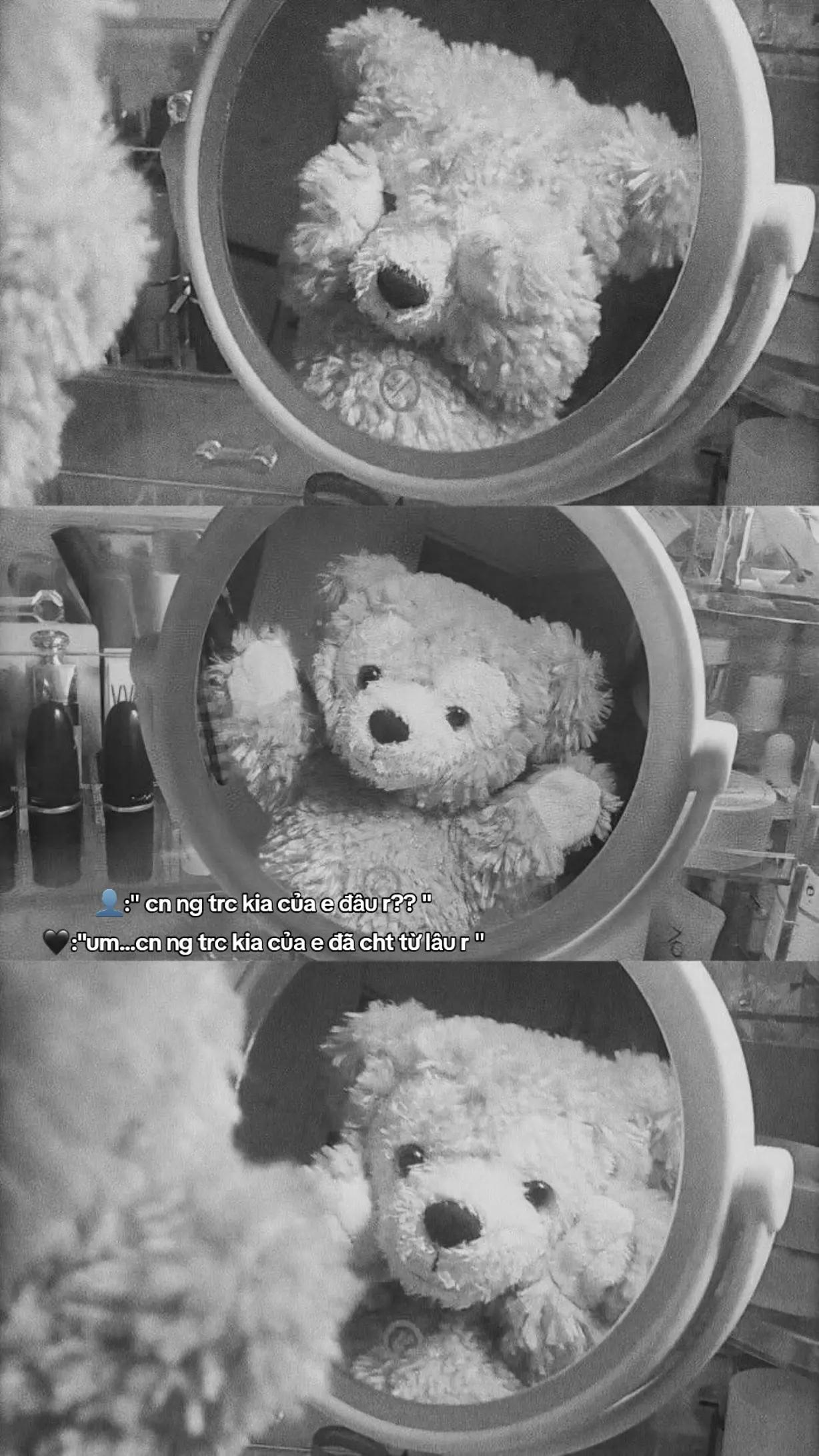 @≽^• ˕ • ྀི≼