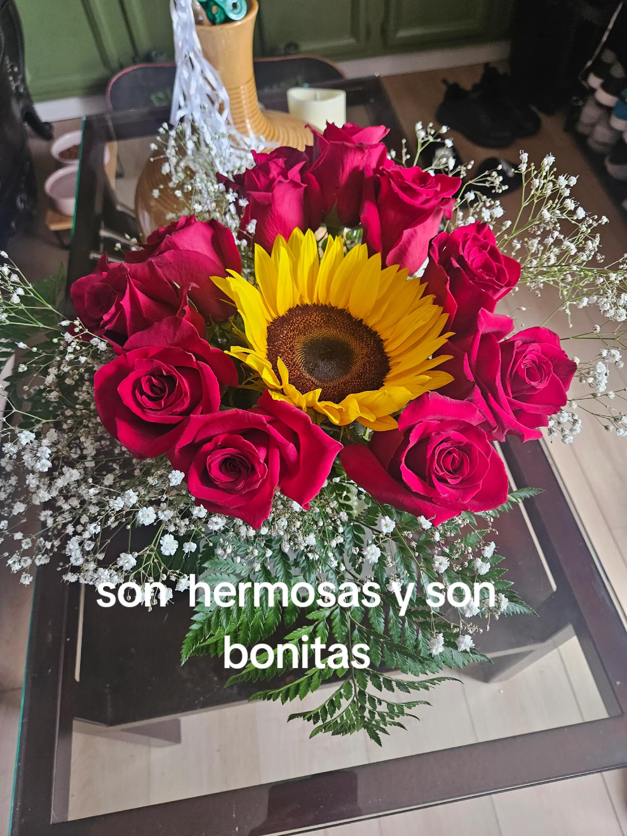 @clararabadan292