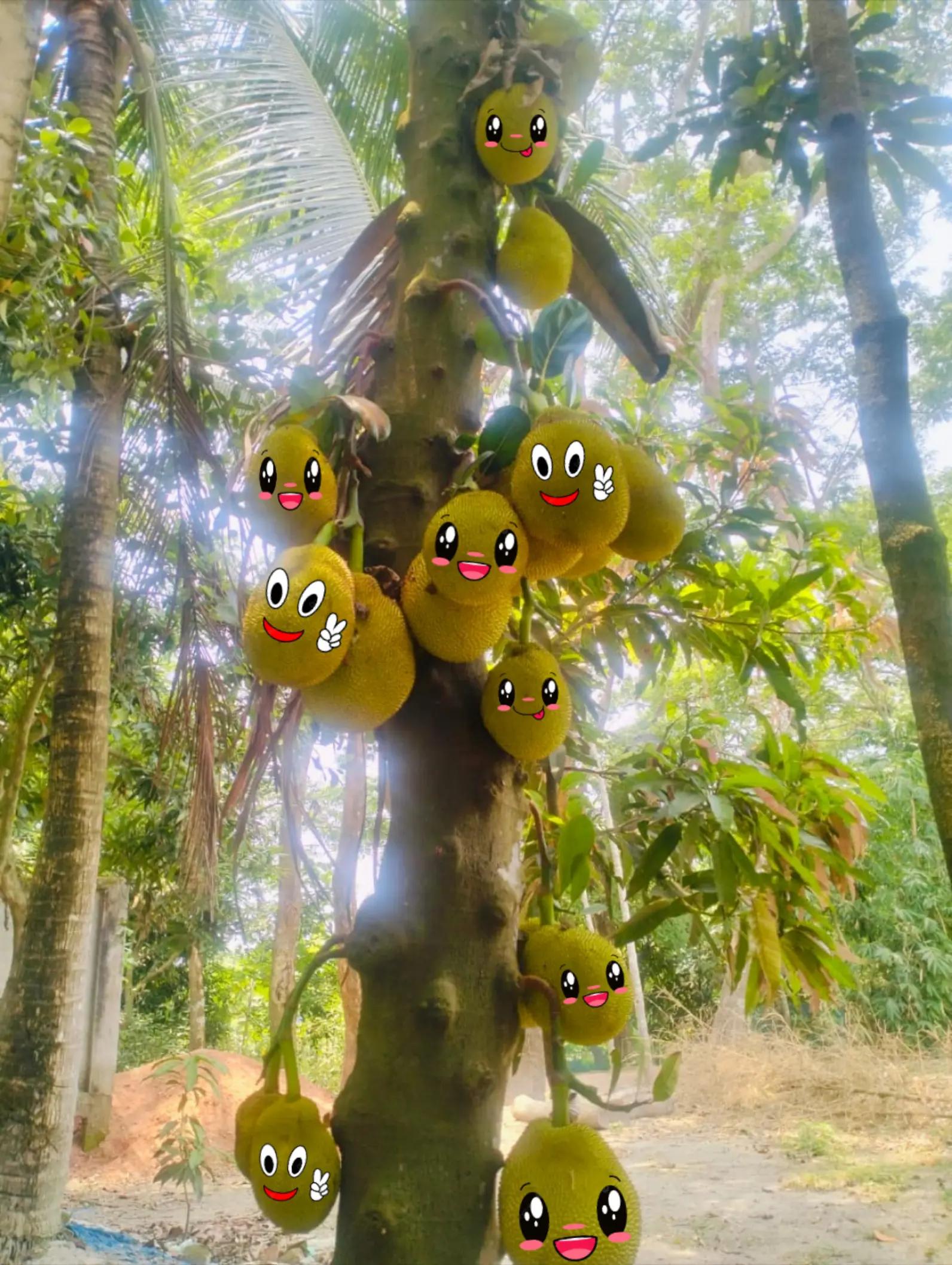 @তা¿👨🍳