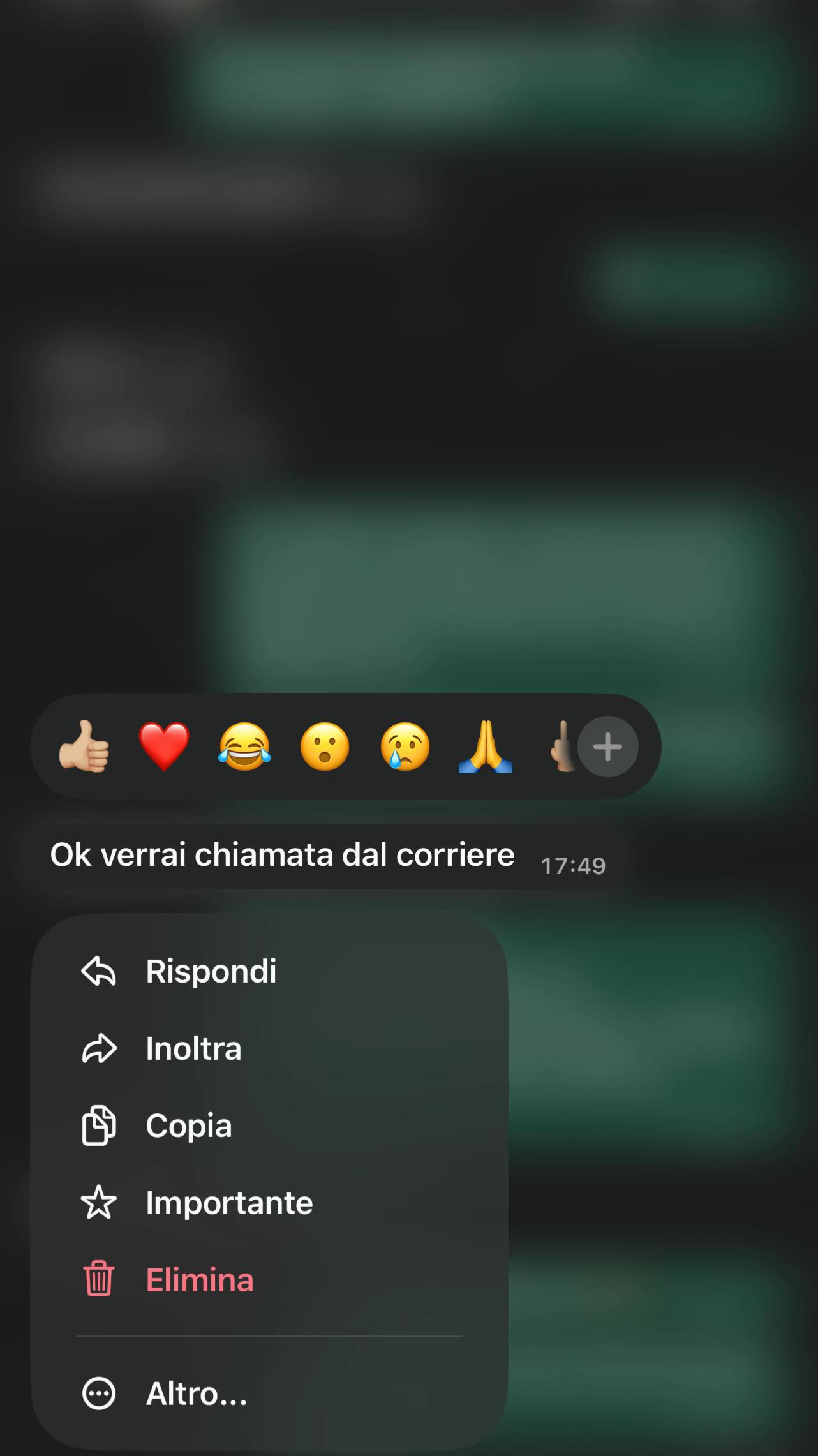 @meryaledidato