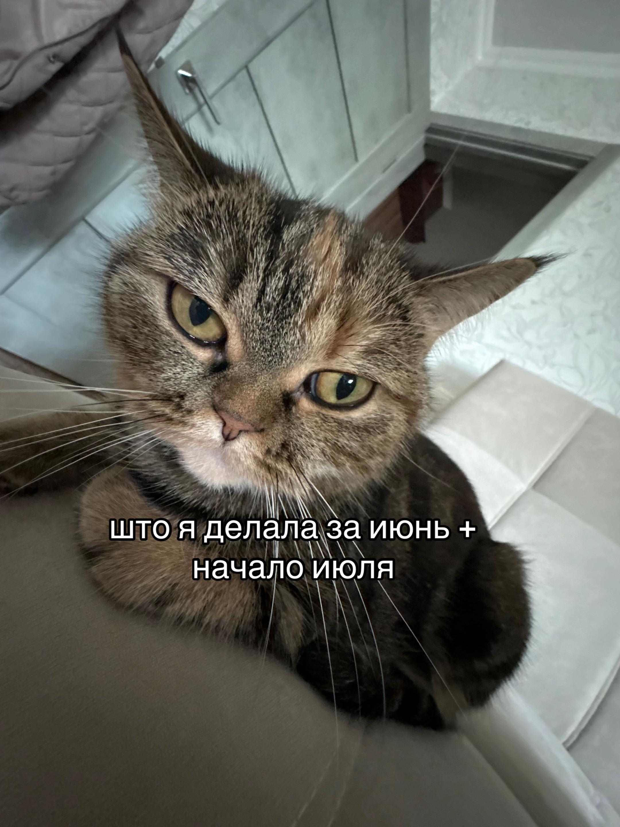 @лол
