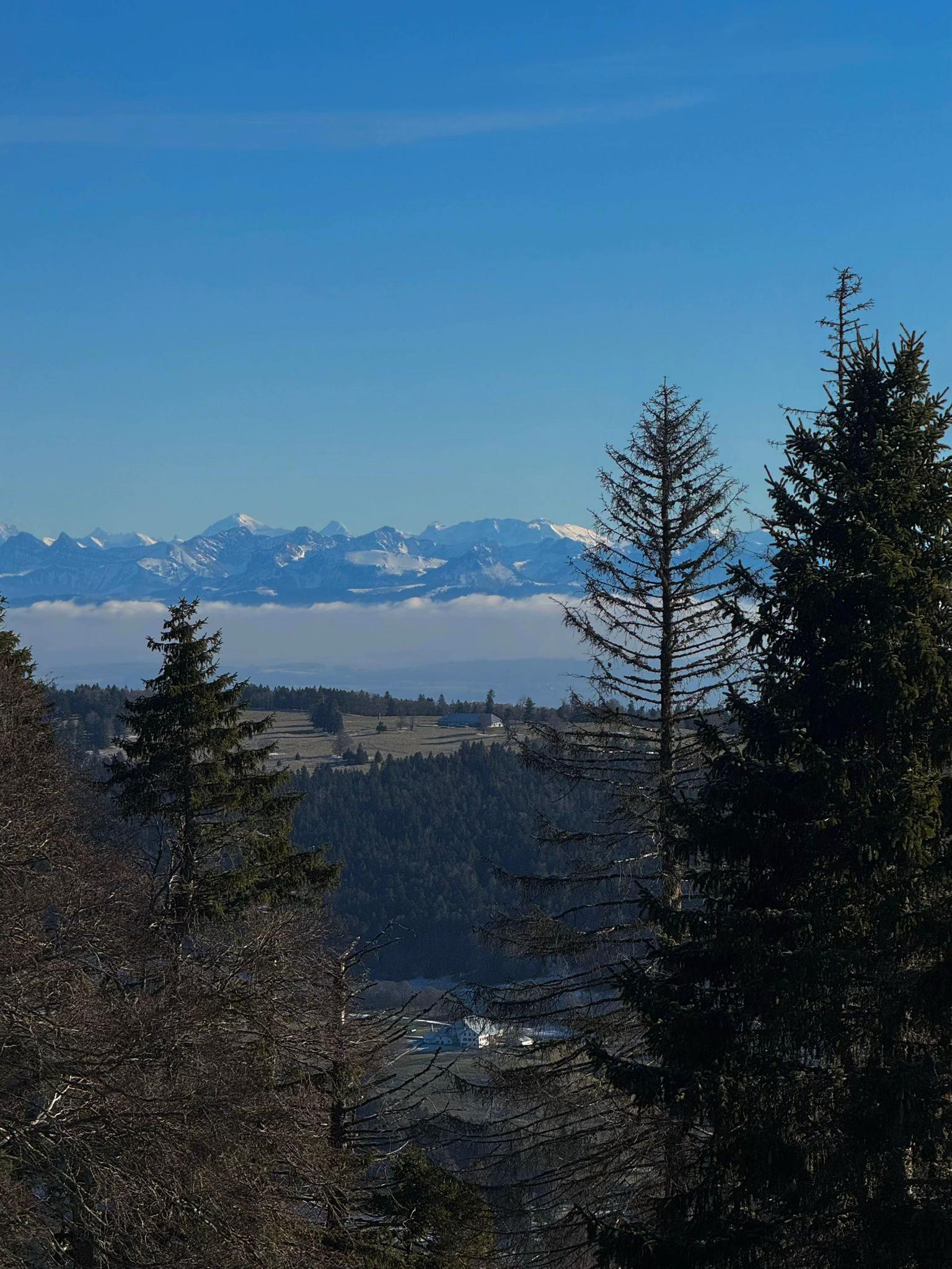 @𝓑𝓻𝔂𝓪𝓷 🏔️