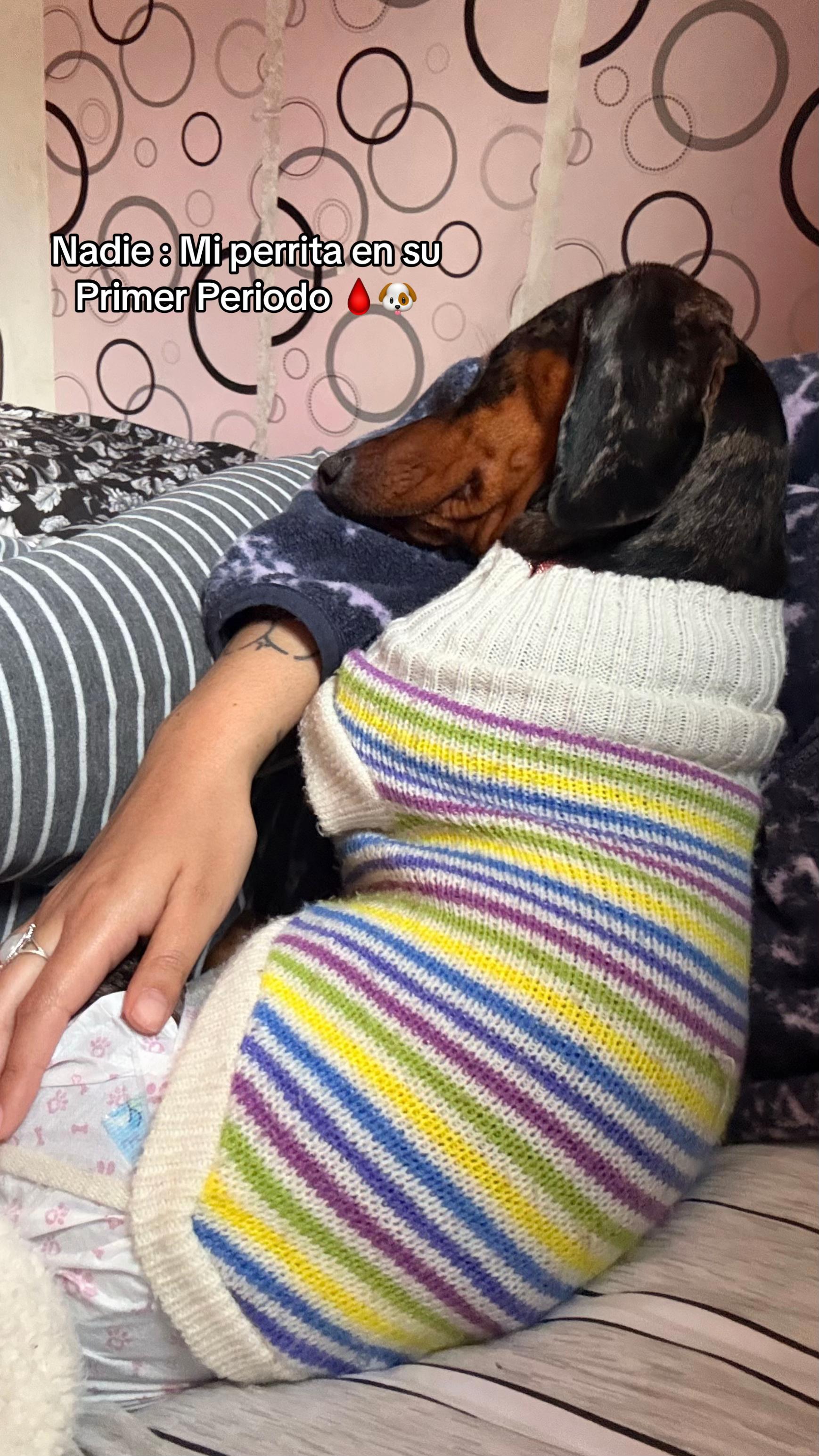 @𝑴𝒊𝒍𝒂 𝑴𝒊𝒍𝒂𝒏𝒆𝒔𝒂 🐾