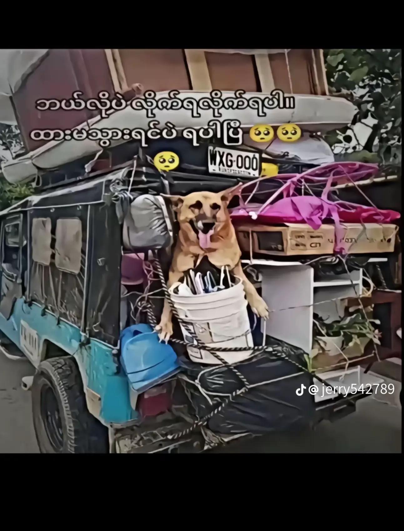 @N"M%Xtet*?