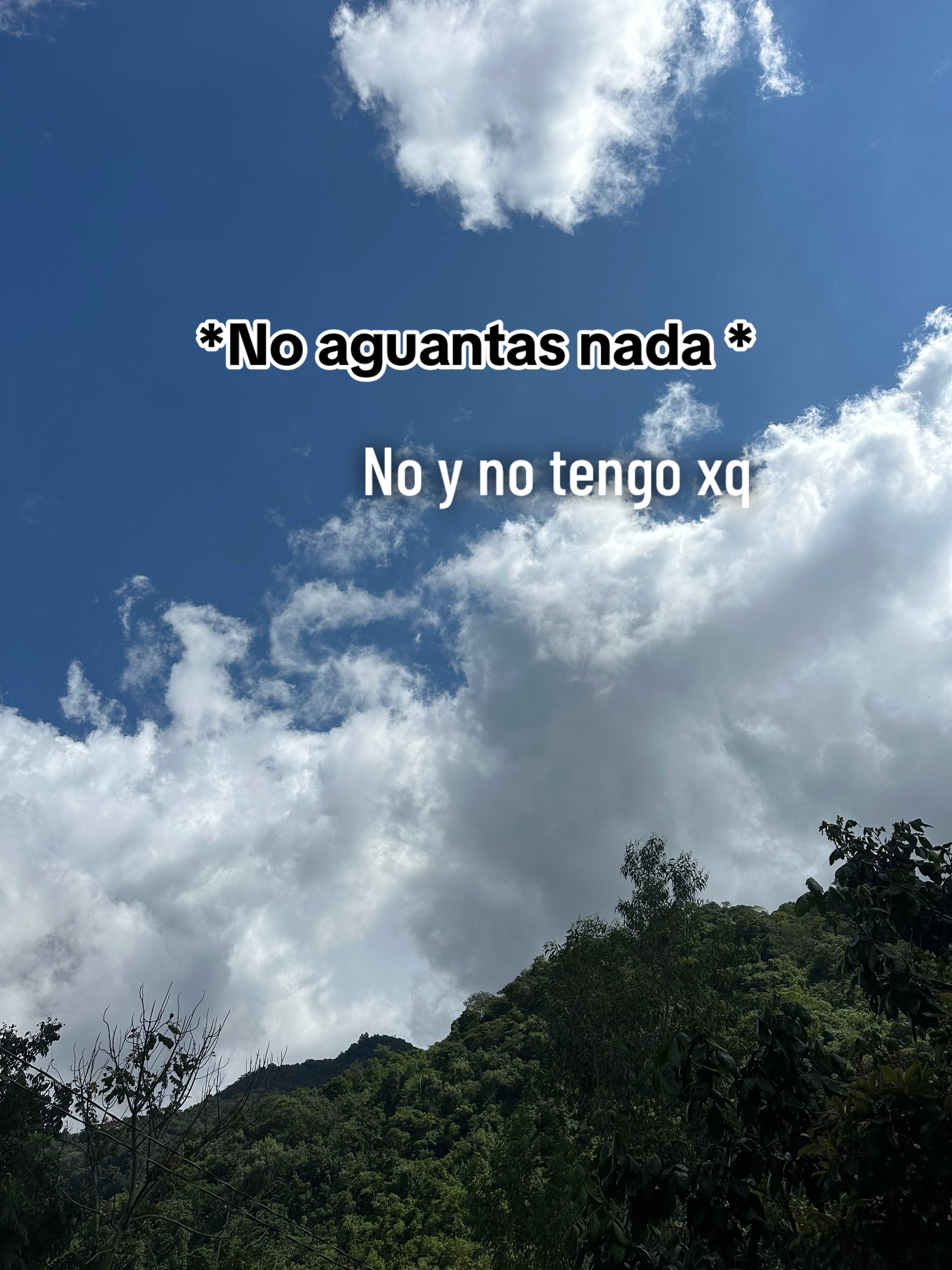 @Ary lopez