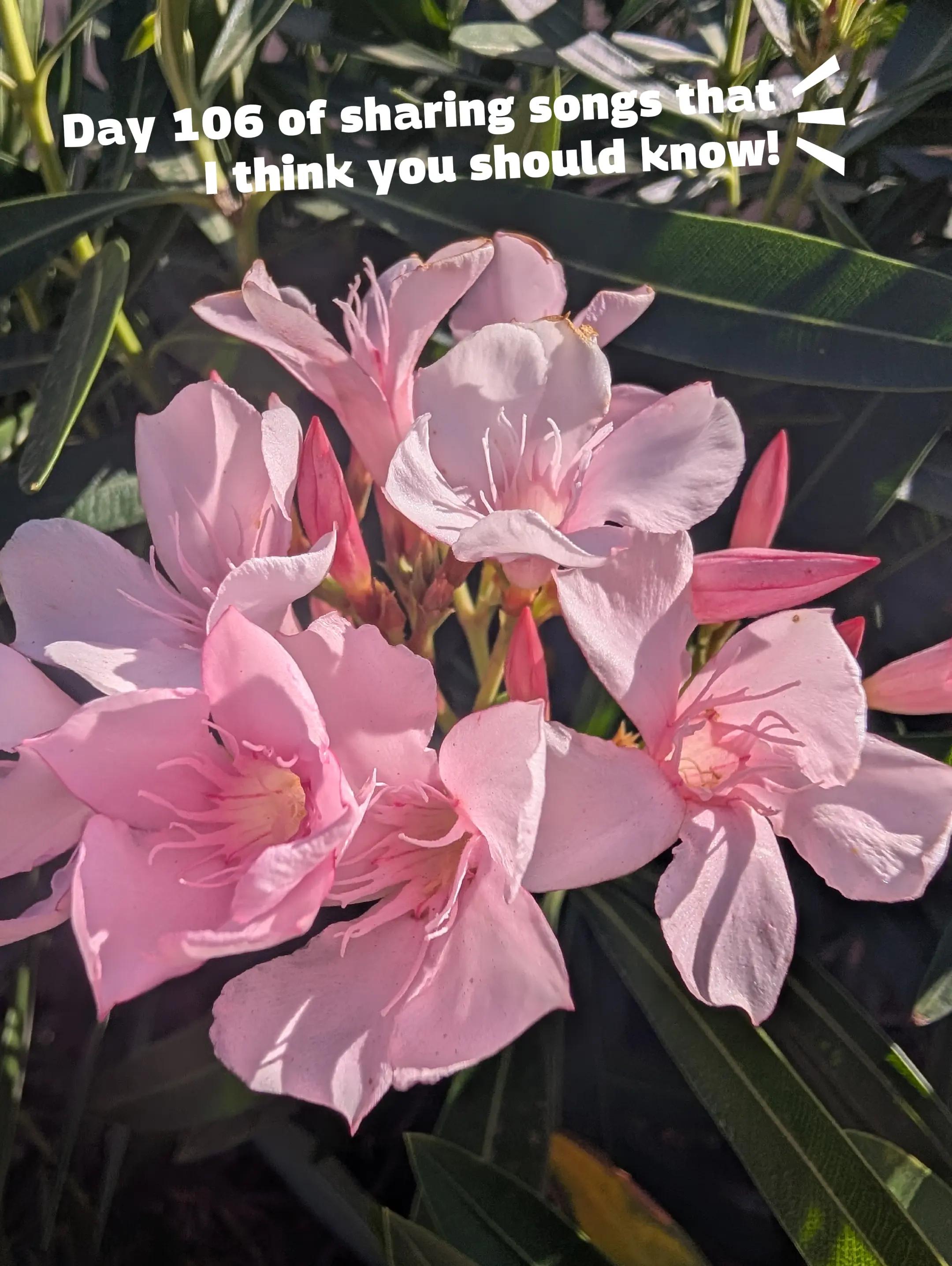 @its_aDaltn
