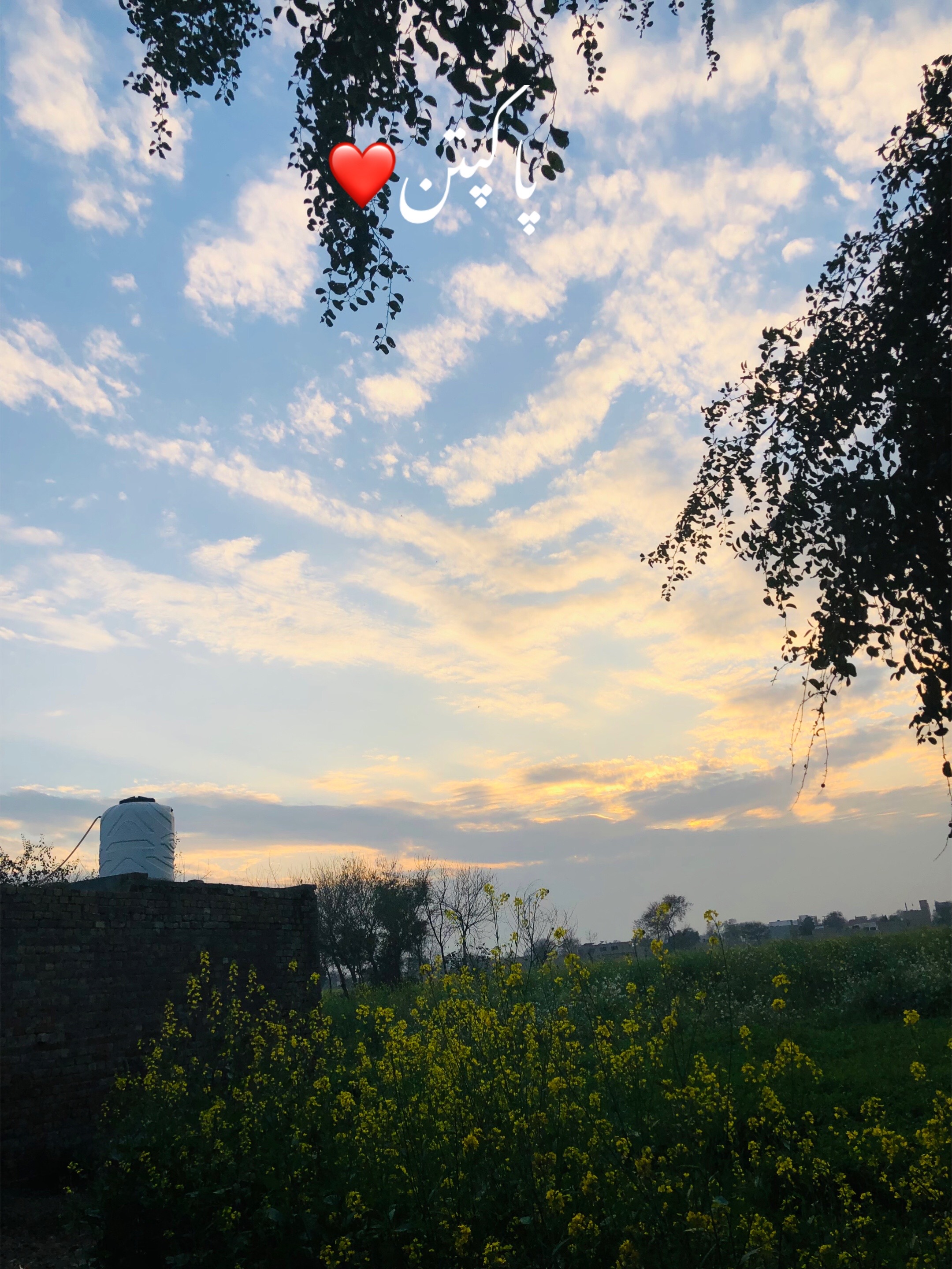@@♥️ راشد آرائیں 👑