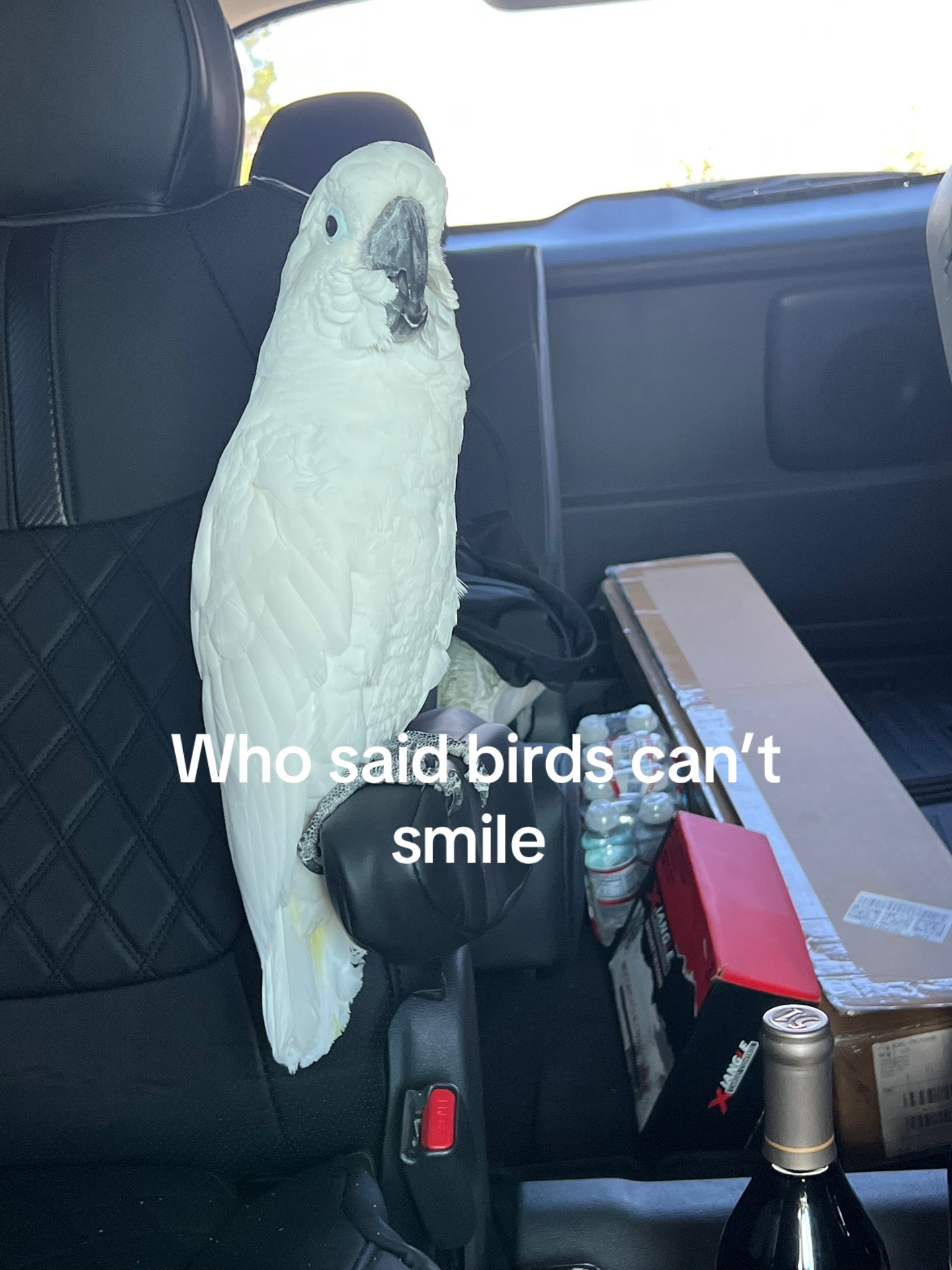 @OLAF