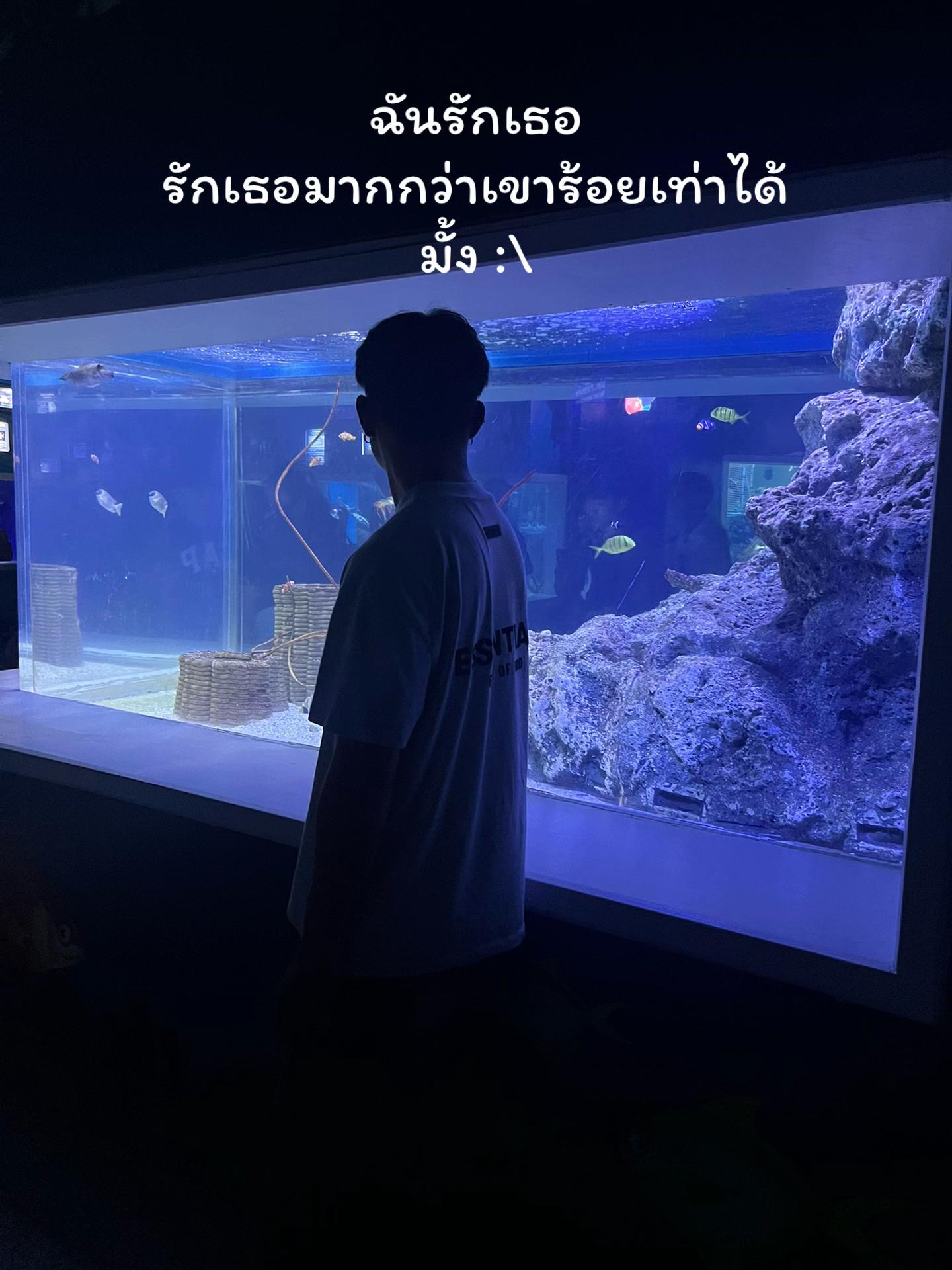 @เวสดารา 💯