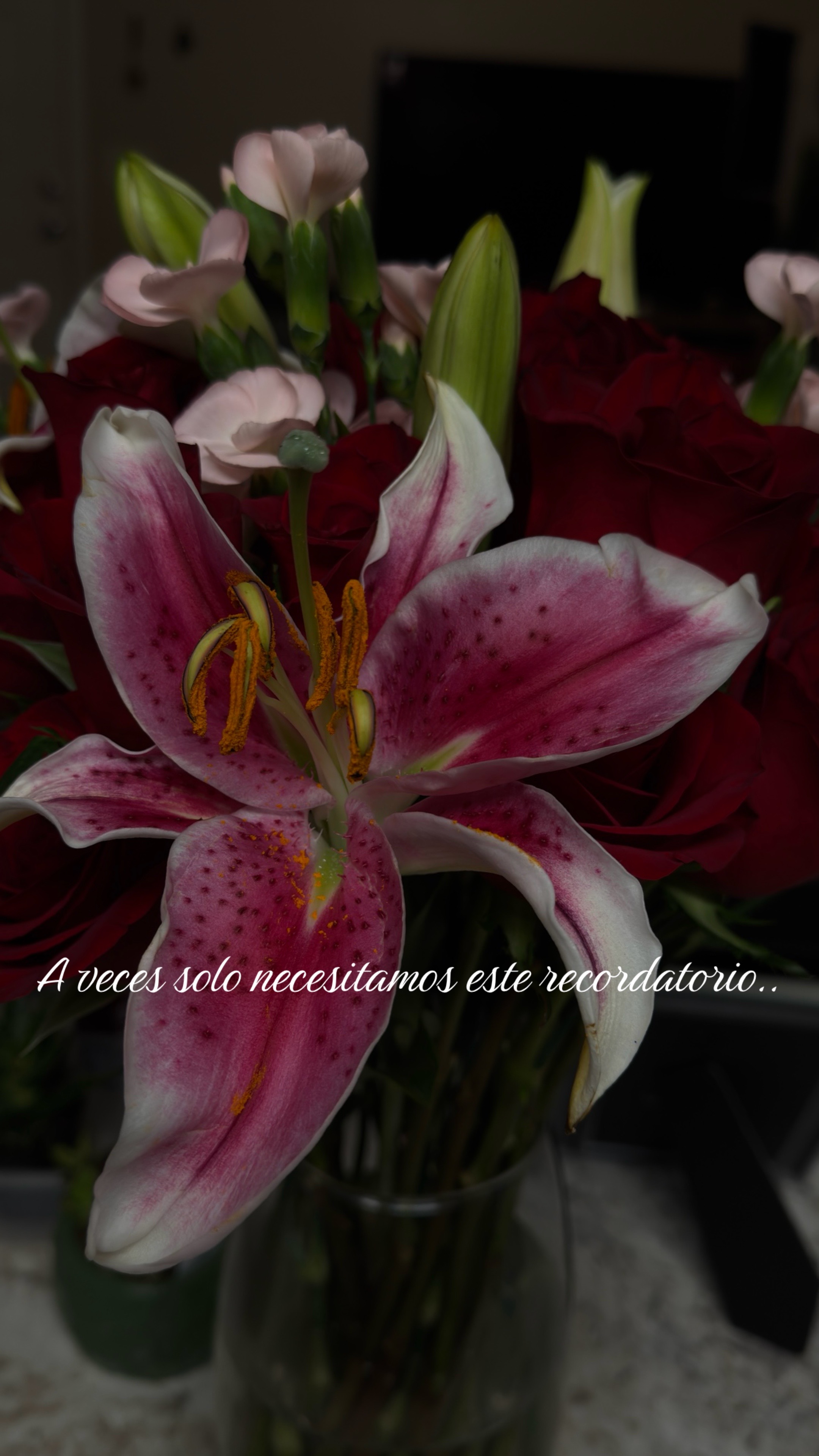 @Flora Lamas