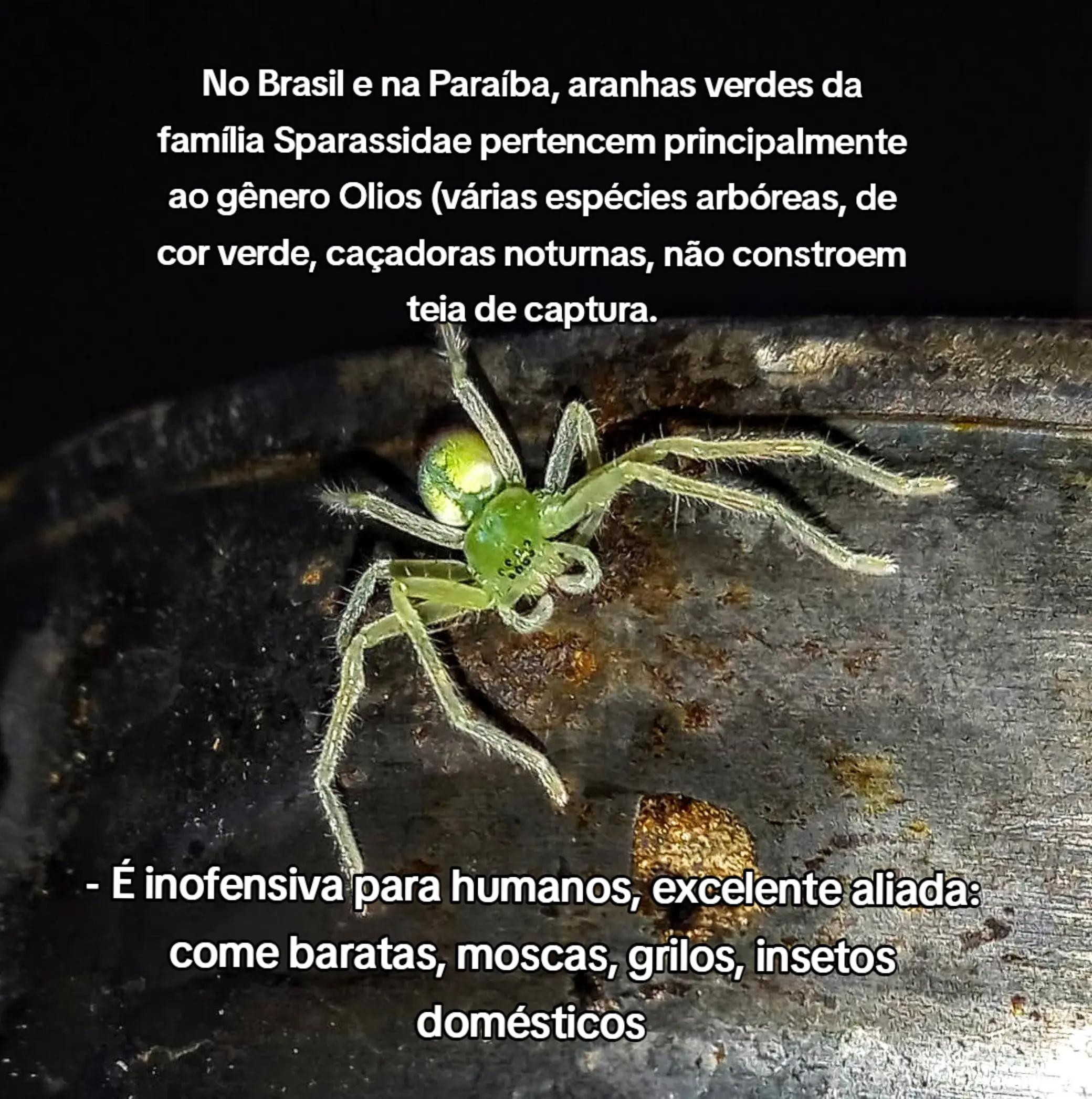 @Amante da natureza