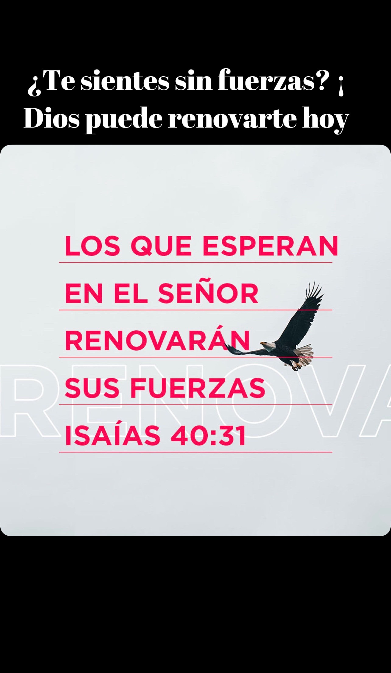 @📖REFLEXIONES BÍBLICAS REYES