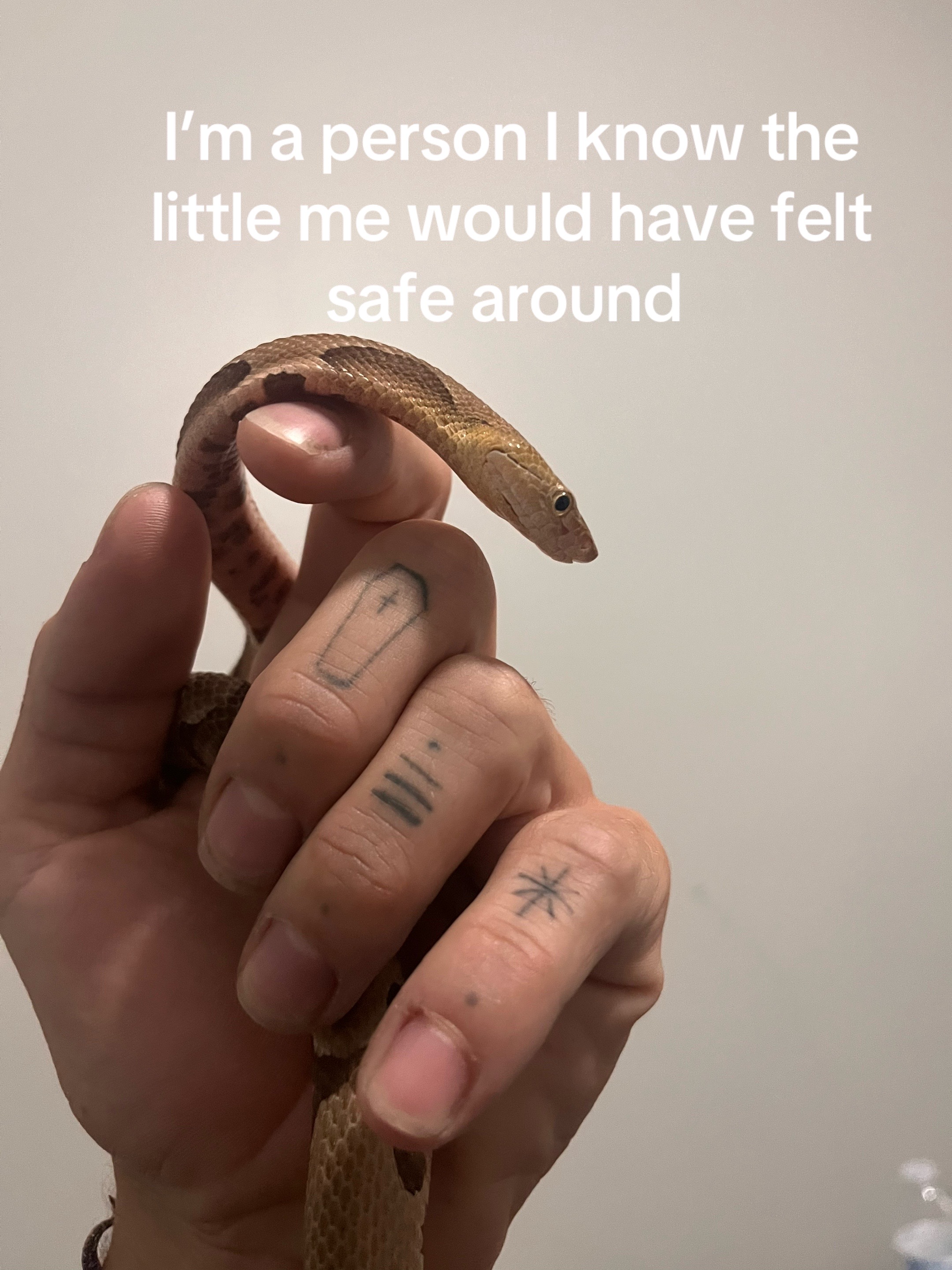 @Ahambonee